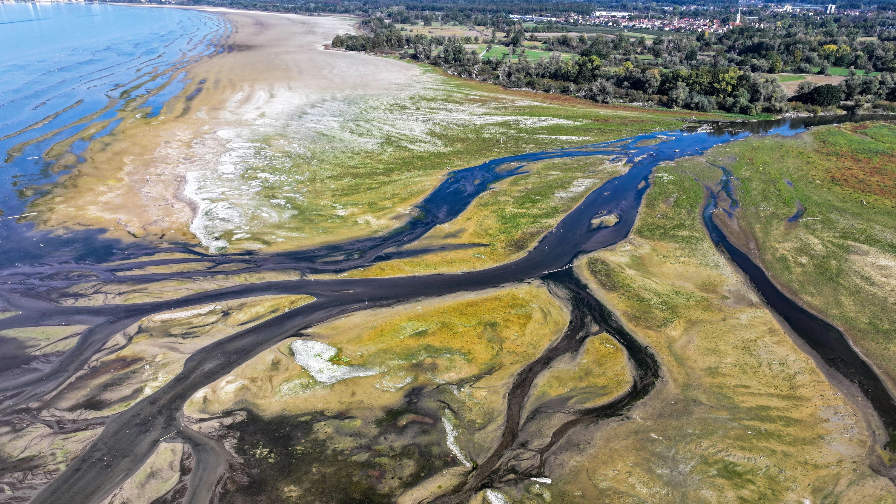 Wasserstand bei 2,48 Metern: Bodensee leidet unter Trockenheit