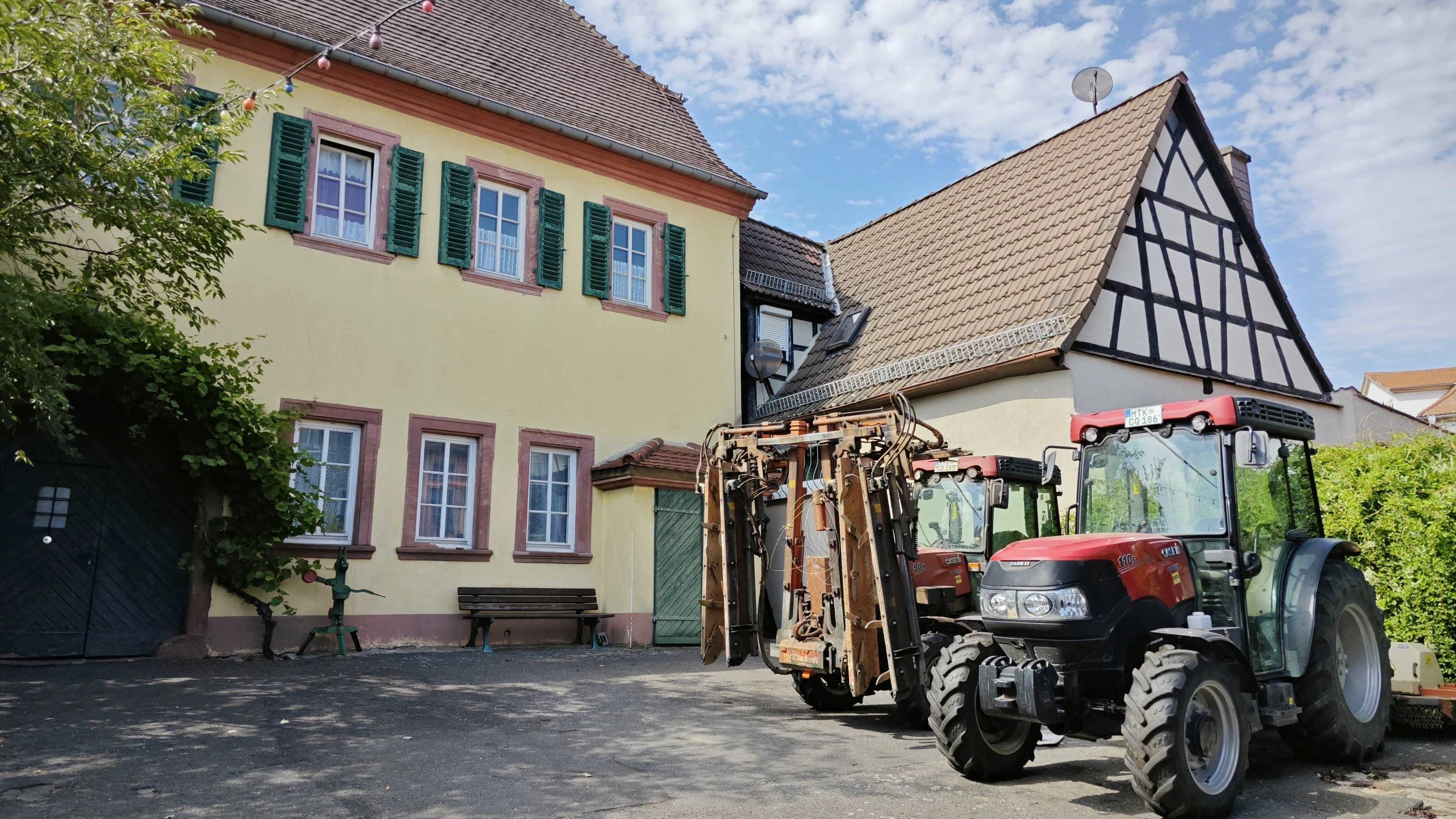 An Hochheimer Winzer: Frankfurt vermietet Weingut zunächst pachtfrei