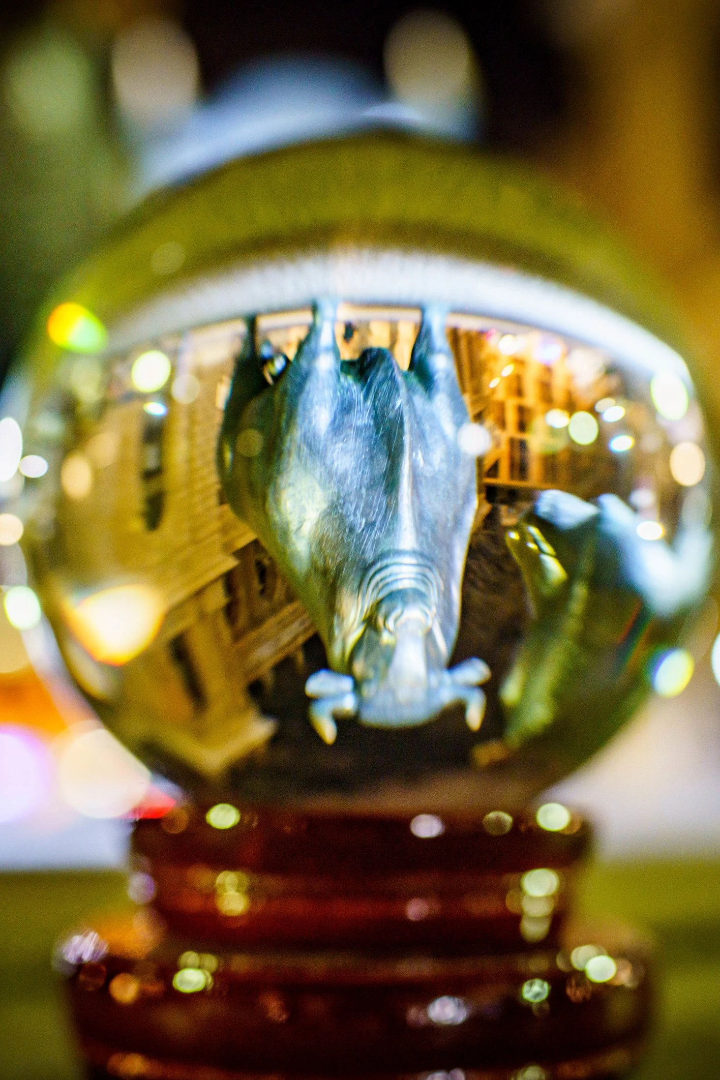 Geldanlage: Sind die Immobilien oder Aktien wirklich lukrativ? | FAZ