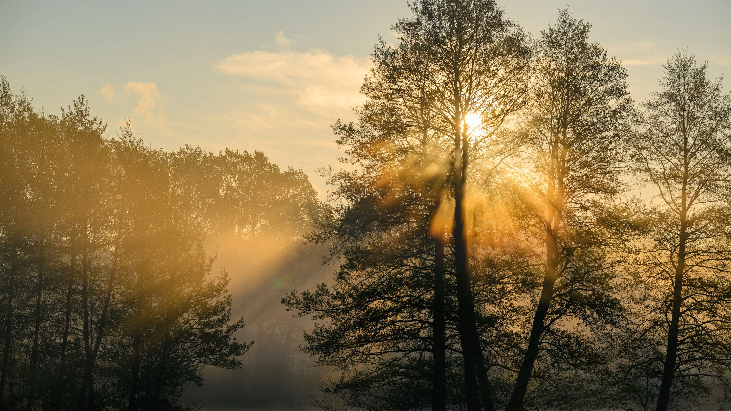 Die Kraft des Osterfests: Stille ist mehr als die Abwesenheit von Lärm