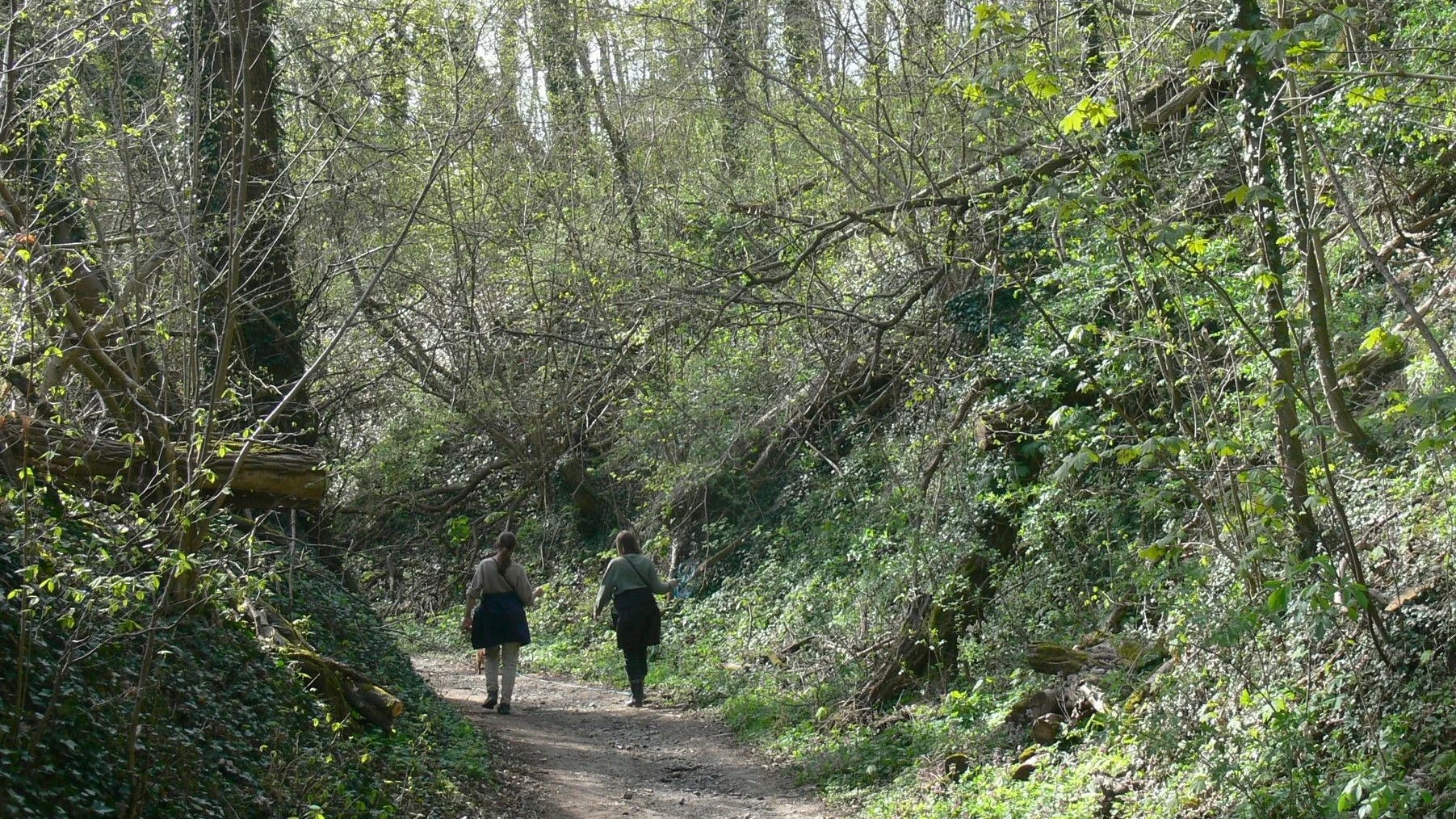 Der Wandertipp: Vertiefendes zu Hohlwegen