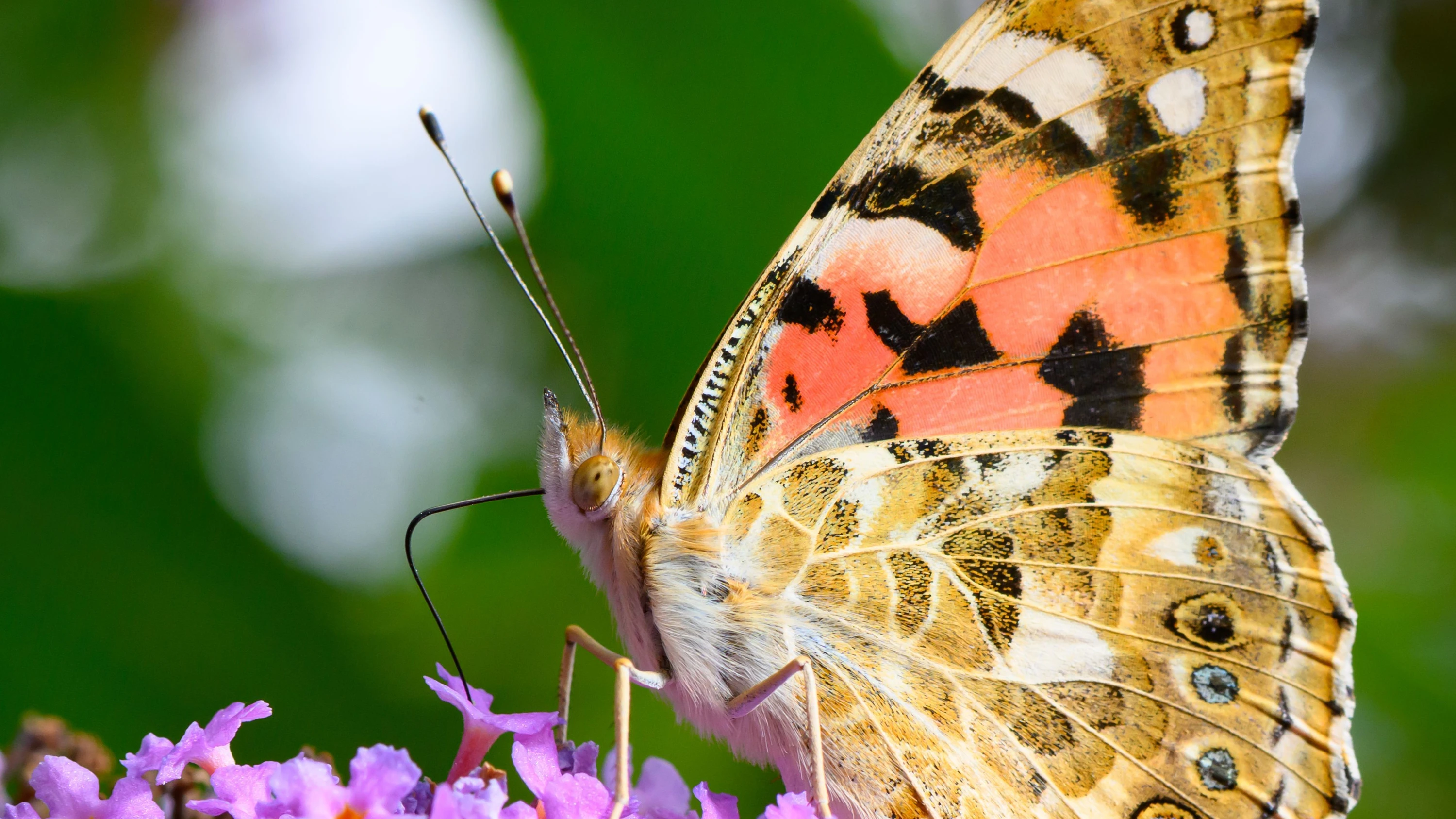 Natur als Finanzrisiko: Investoren erwarten von Konzernen Naturverständnis