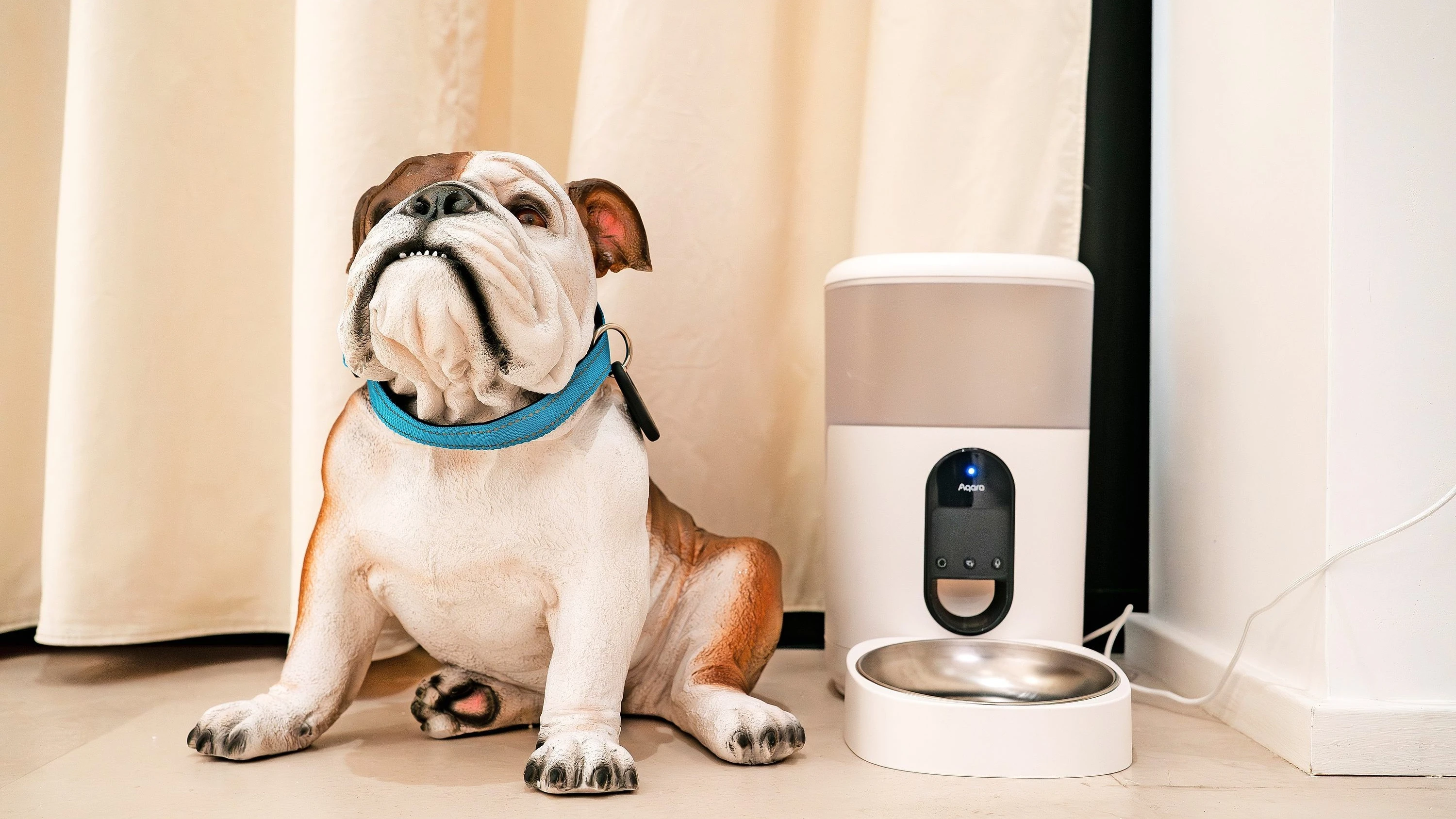 Samsungs Smarter Showroom: Wenn das Handy mit dem Futternapf spricht