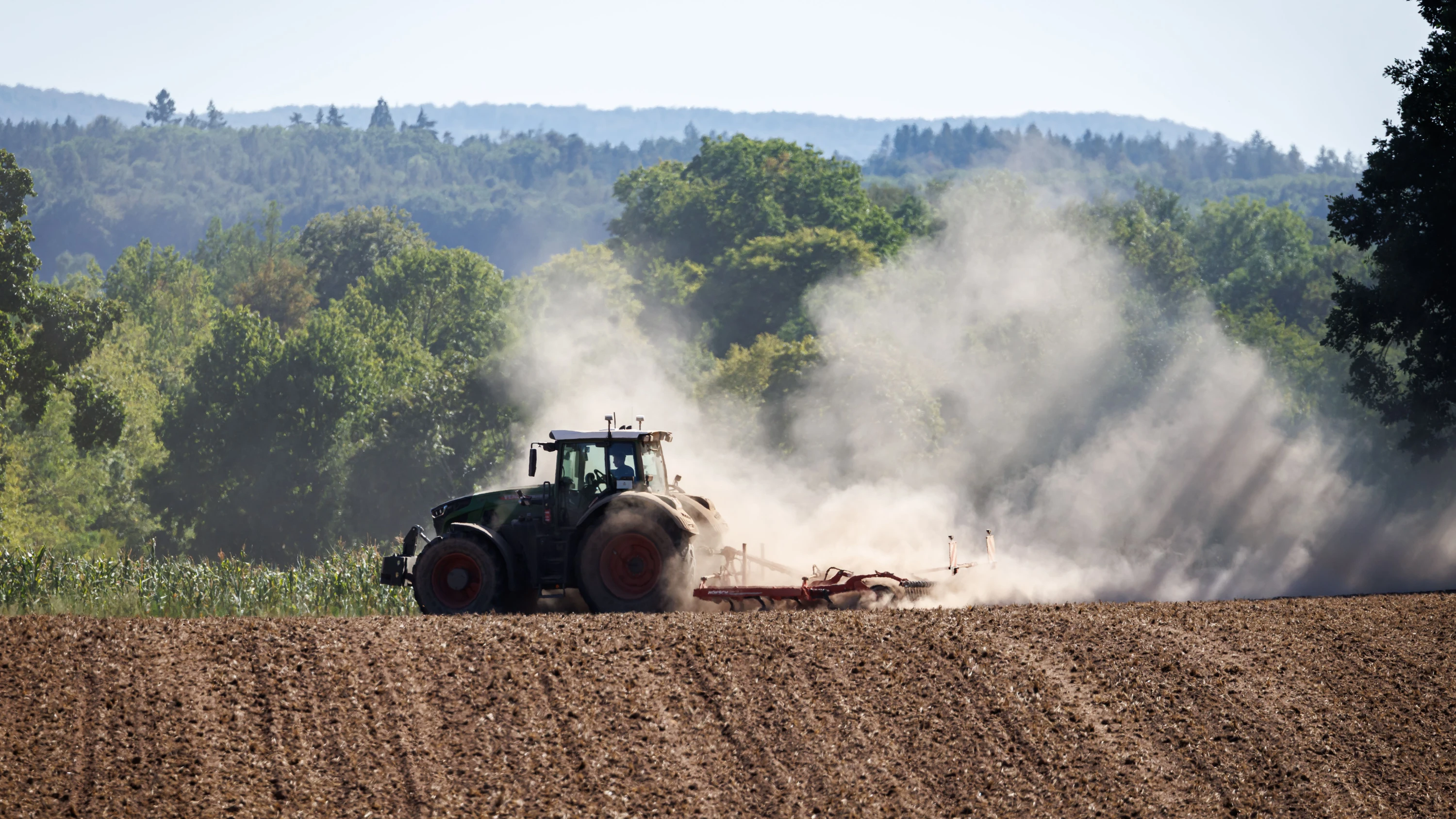Dürre: Bauernverband warnt vor totalem Ernteausfall im Süden Deutschlands
