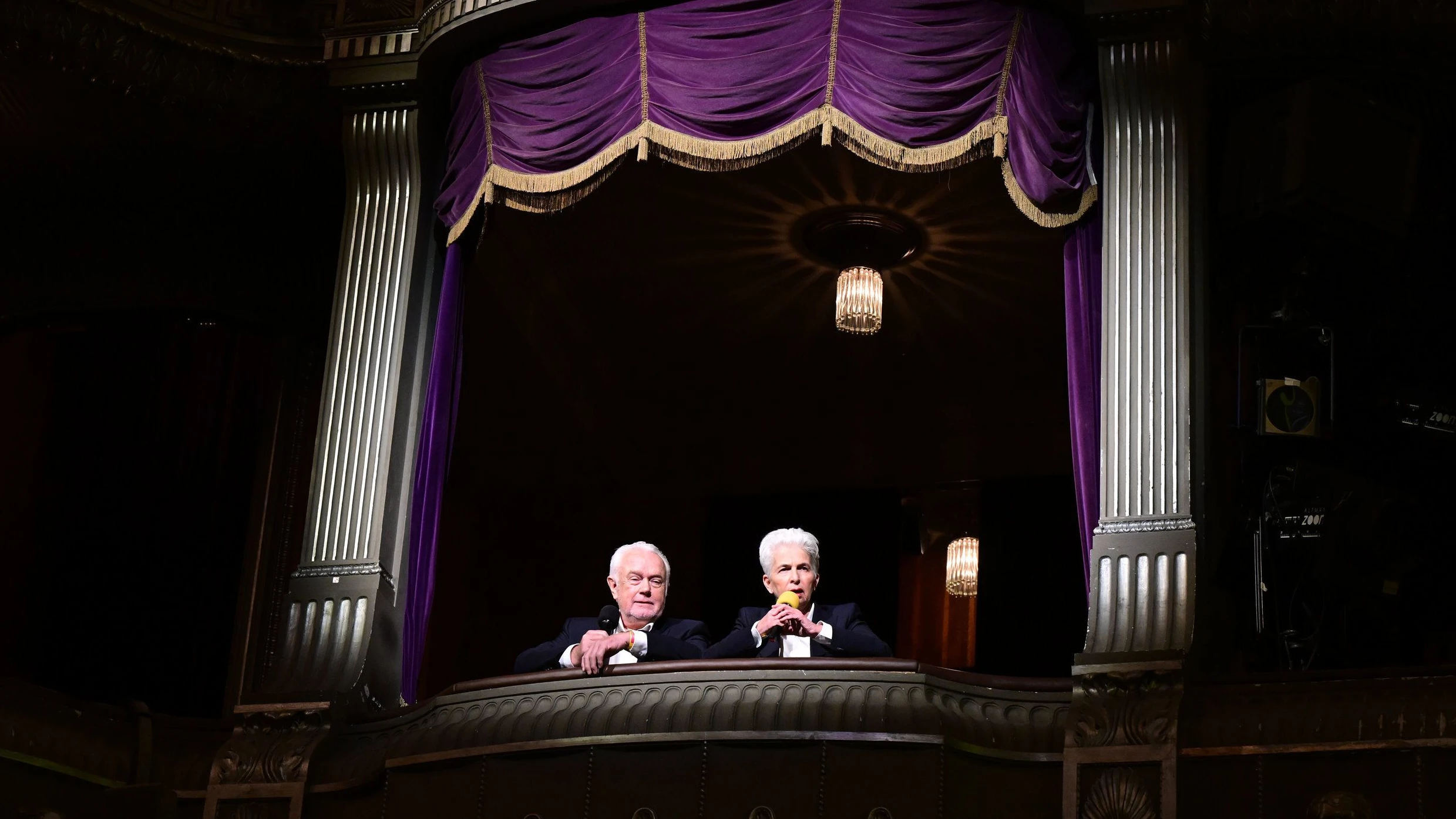 Dreikönigstreffen der FDP: Besuch von der „Muppet-Show“