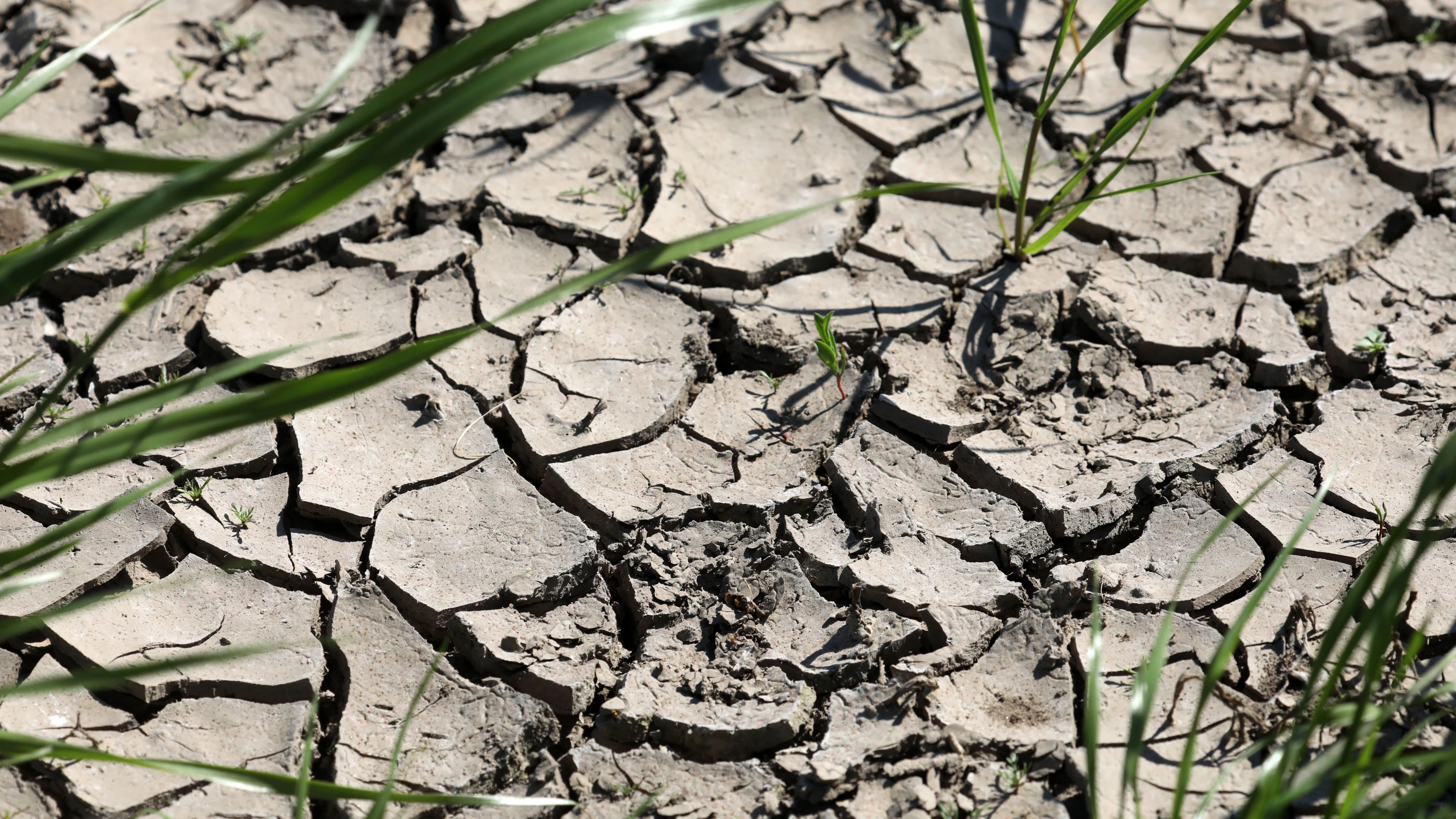 Bild: Knappe Ressource: Kampf um das Grundwasser