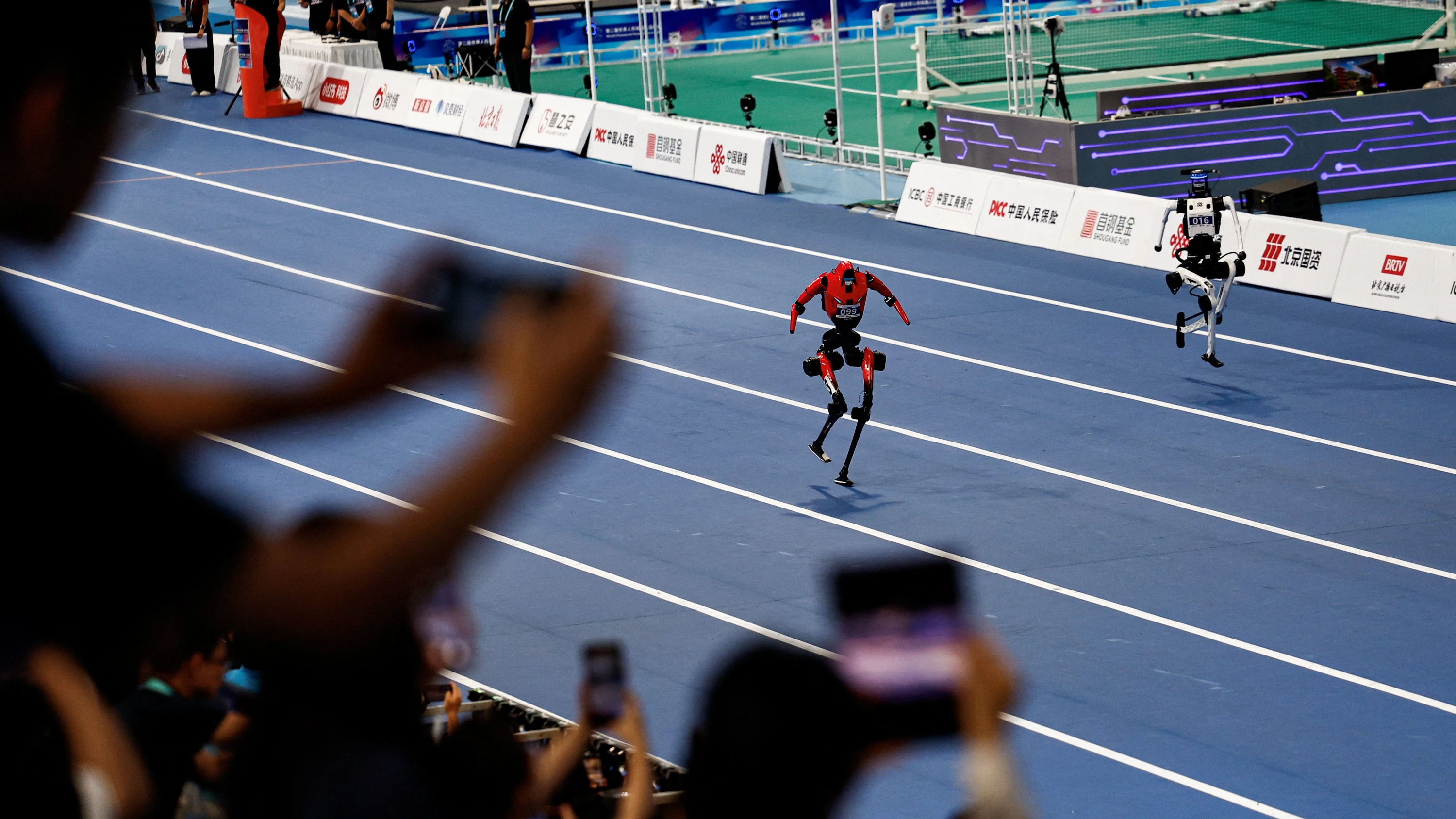 Blitz (in Rot) und Himmelswerk in einem 100-Meter-Vorlauf in Peking - Reuters