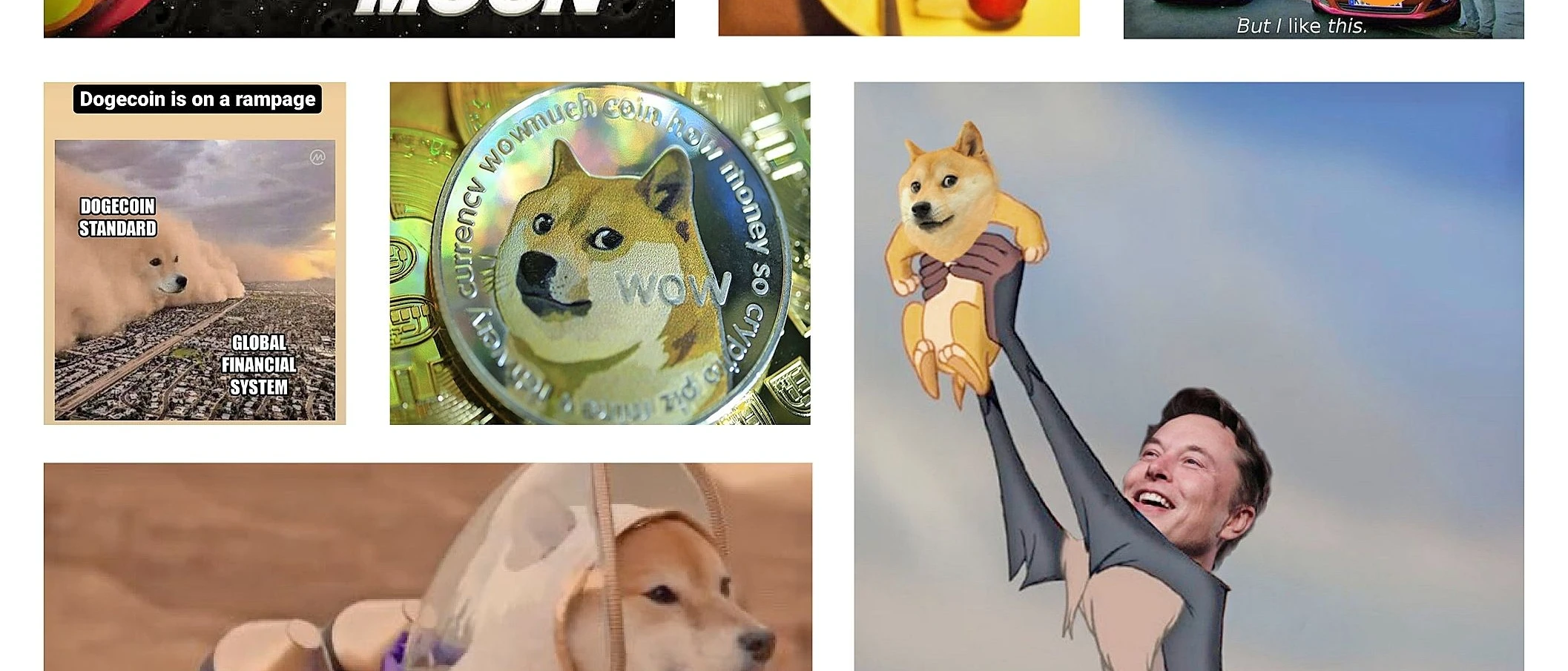 Kryptowährung Dogecoin: Der Milliarden-Dollar-Spaß | FAZ