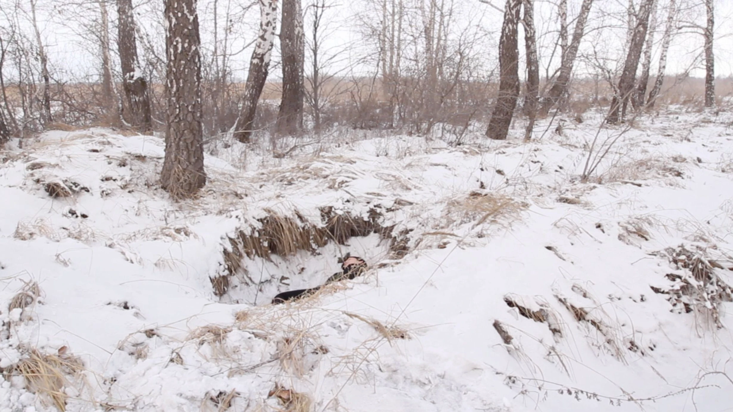 Kunst gegen Repression: Eisige Freude im hohen Norden