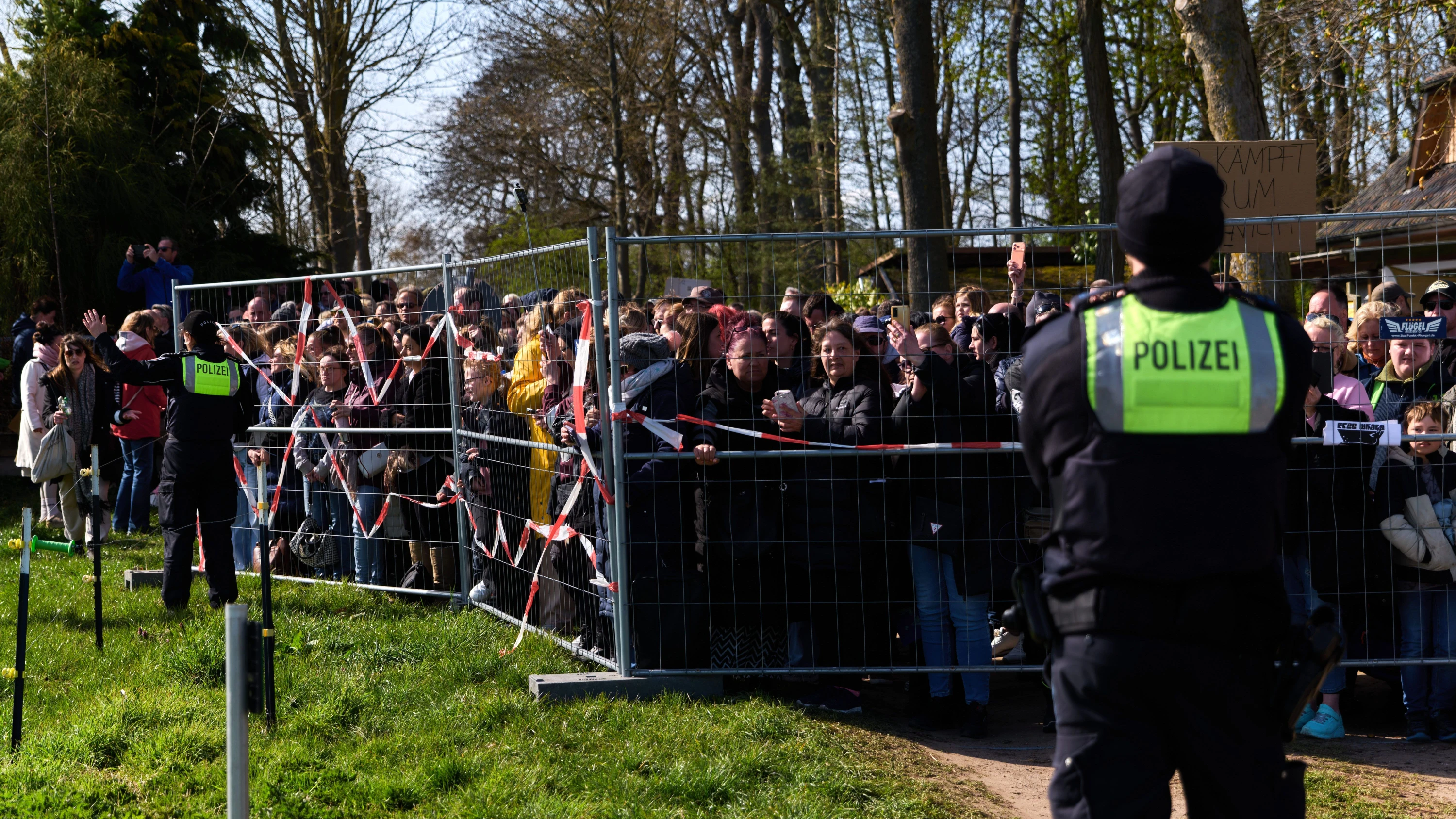 Sterbender Wal: 150 Personen bilden Menschenkette für Buckelwal Sterbender Wal: 150 Personen bilden Menschenkette für Buckelwal