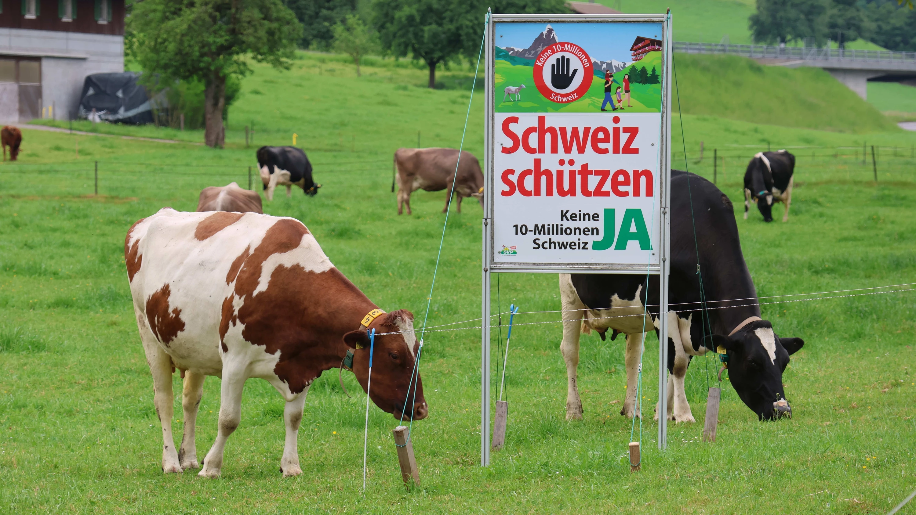 Abstimmung zu Migration: Machen die Schweizer heute die Schotten dicht? Abstimmung zu Migration: Machen die Schweizer heute die Schotten dicht?