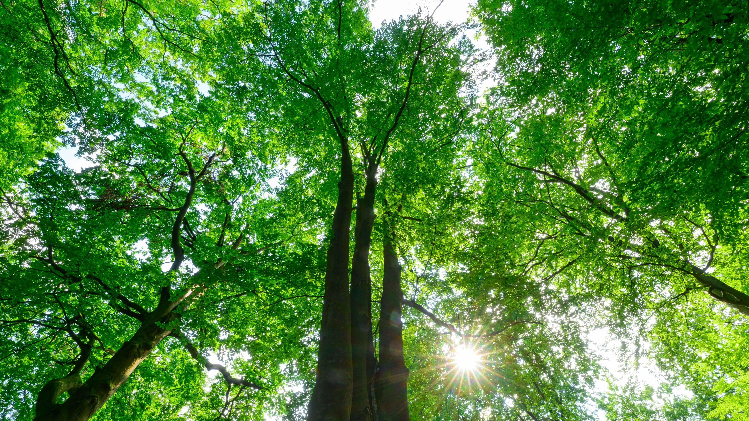 Natur-Wiederherstellung: Warum der Green Deal der EU illusorisch ist Natur-Wiederherstellung: Warum der Green Deal der EU illusorisch ist