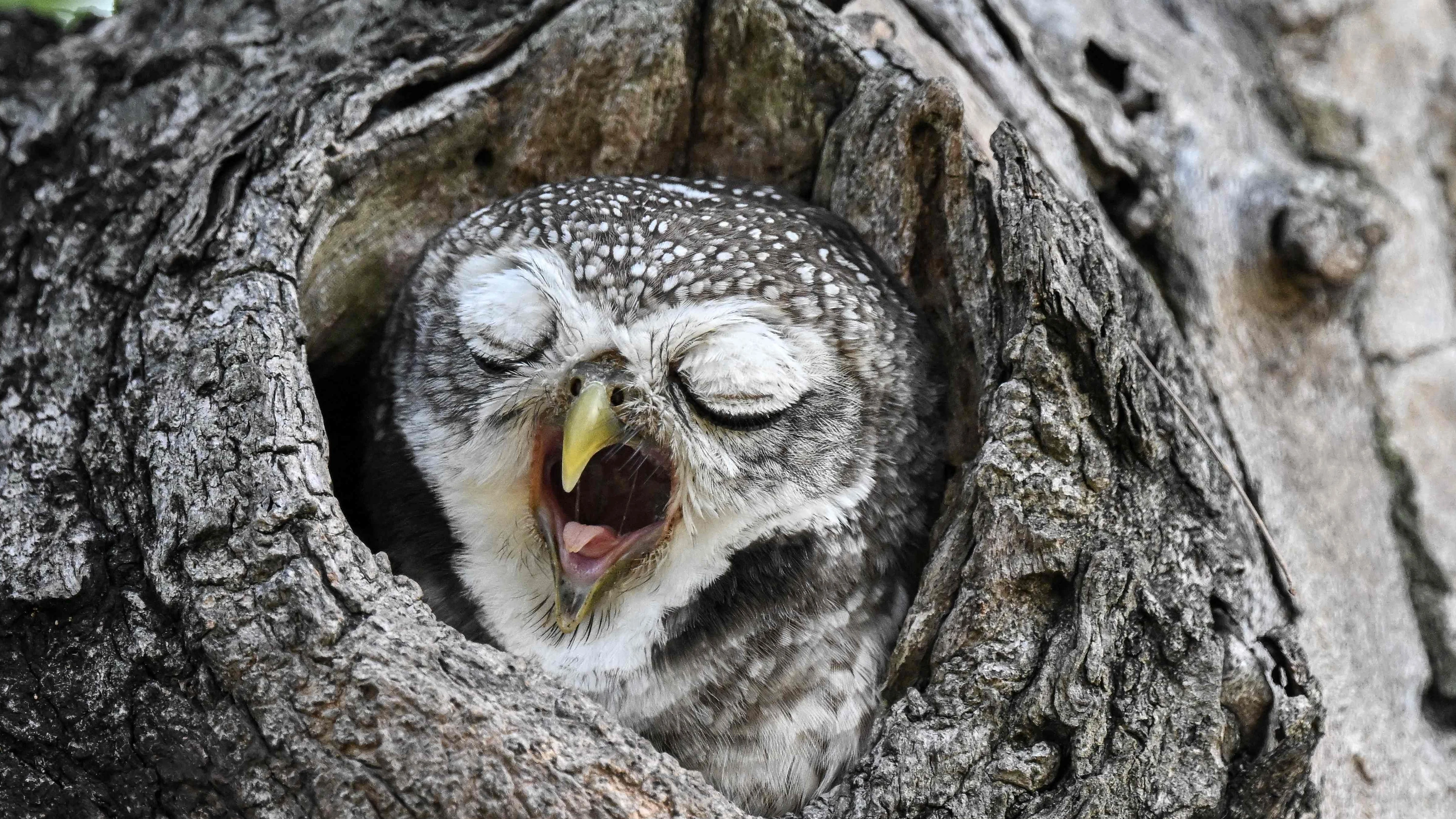 Zeitumstellung im März: Das sind die besten Tipps gegen Müdigkeit Zeitumstellung im März: Das sind die besten Tipps gegen Müdigkeit