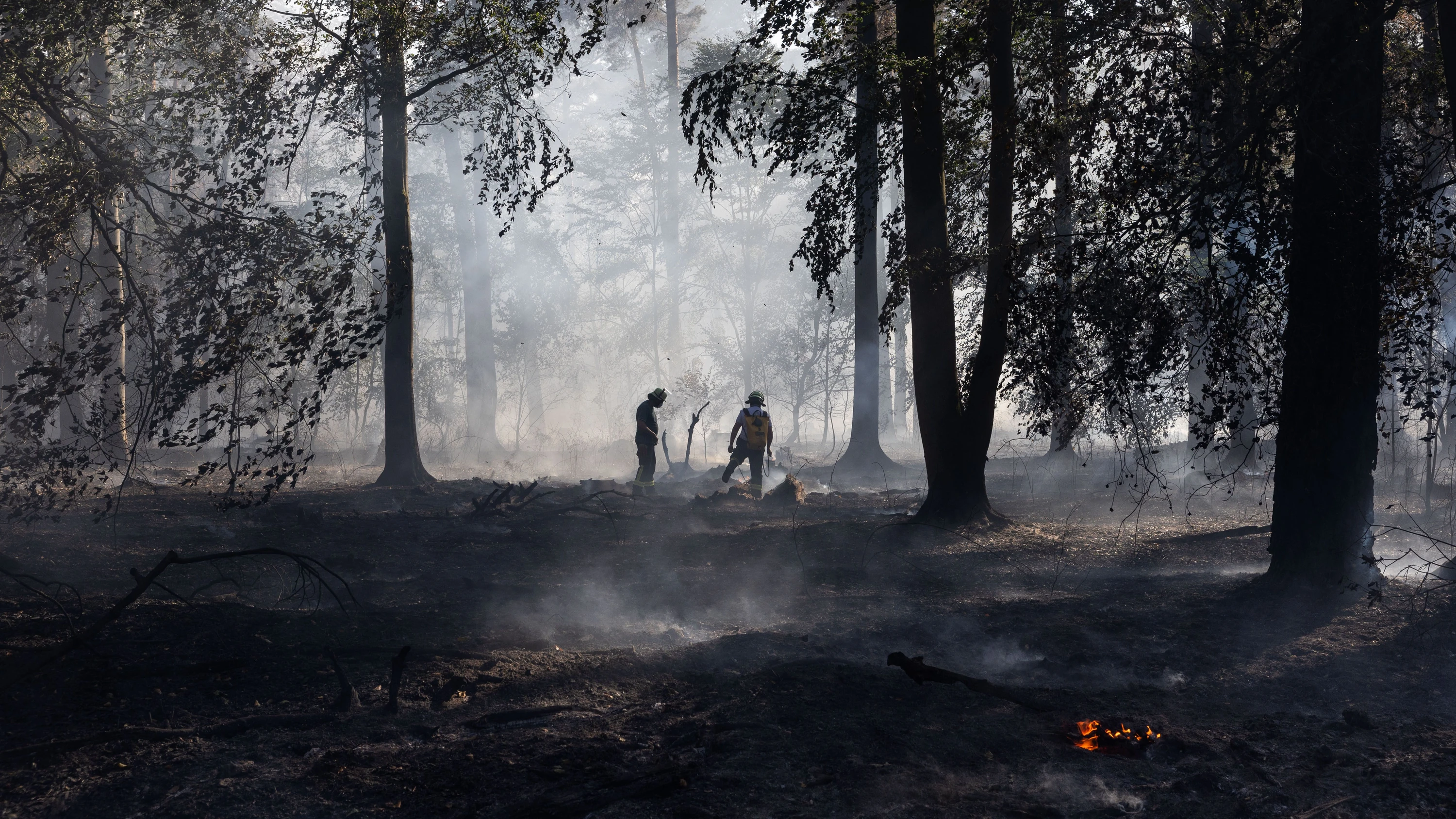 Feuer in Rodenbach: 500 Einsatzkräfte gegen 55 Hektar Waldbrand