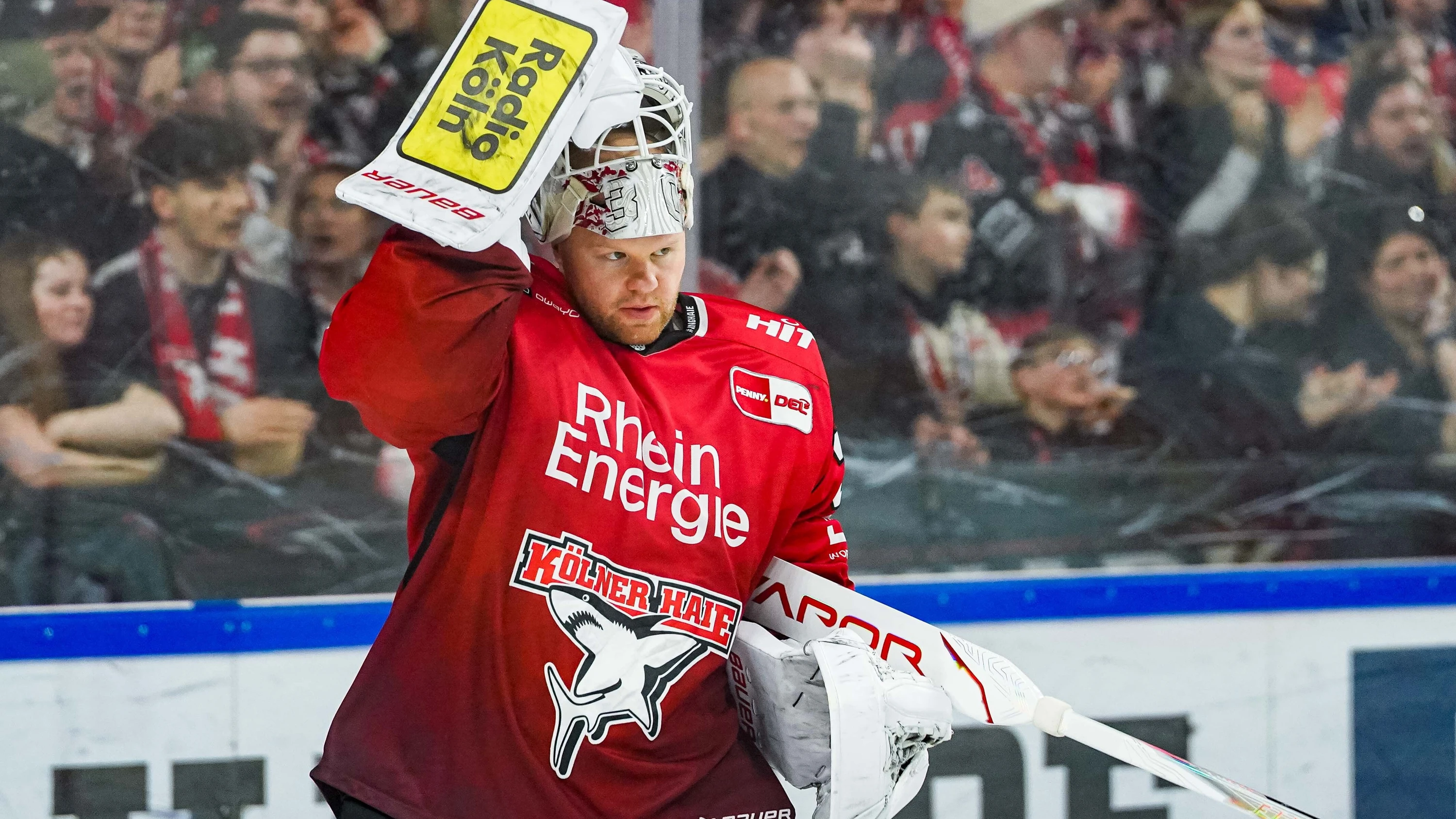 Köln in DEL-Play-offs: Die Begeisterung bei den Haien ist groß wie lange nicht