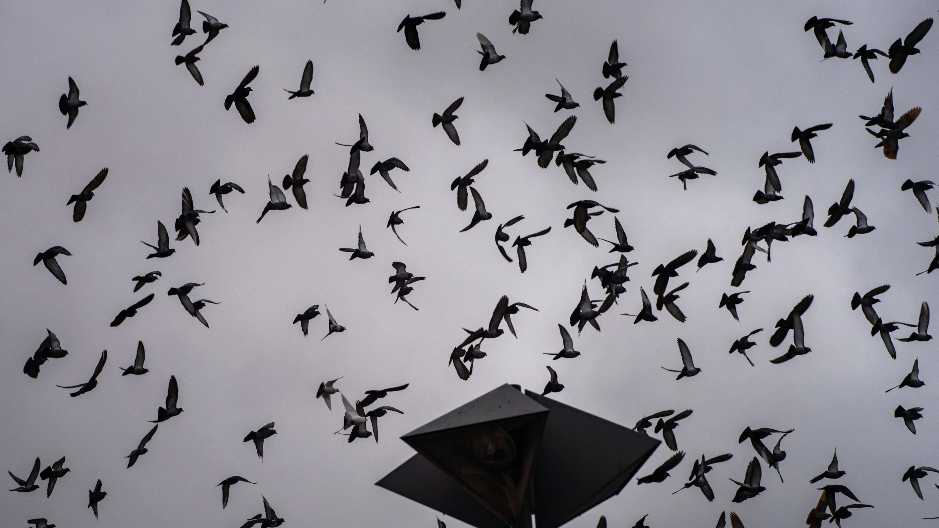 Rhein-Main-Liveblog: Wolken und Regenschauer in Hessen