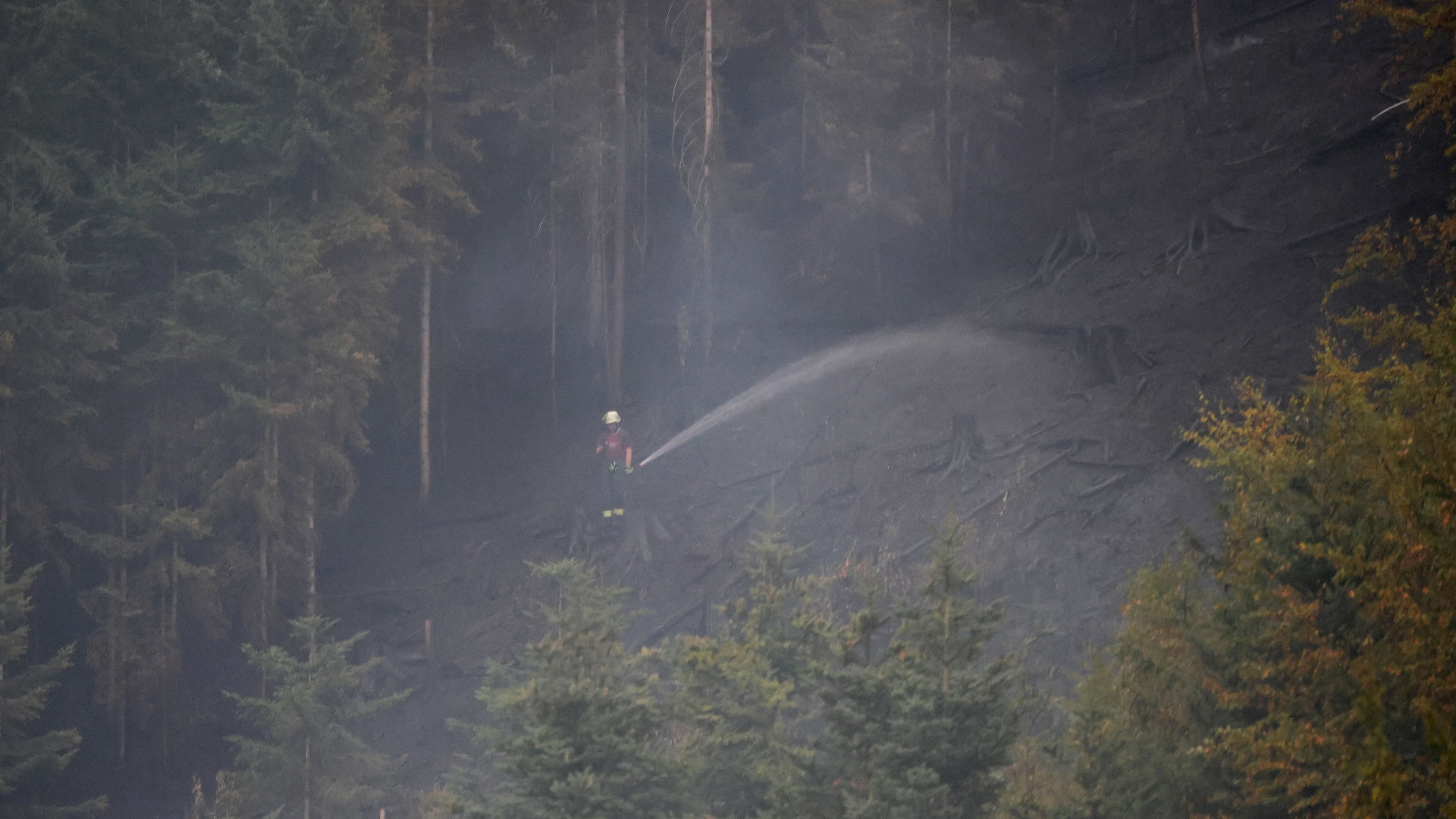 Bild: Hitze-Liveblog: Feuerwehr kämpft gegen Waldbrand nahe Schramberg in Baden-Württemberg