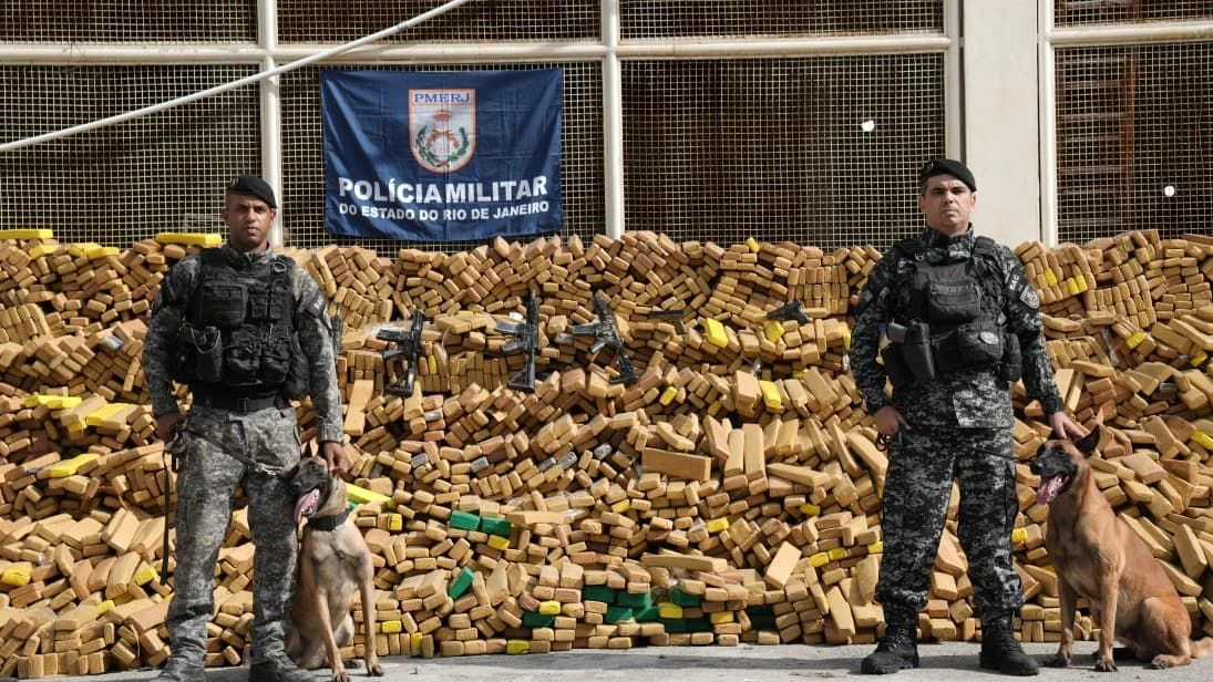 Bild: Brasilien: 50 Tonnen Marihuana sichergestellt