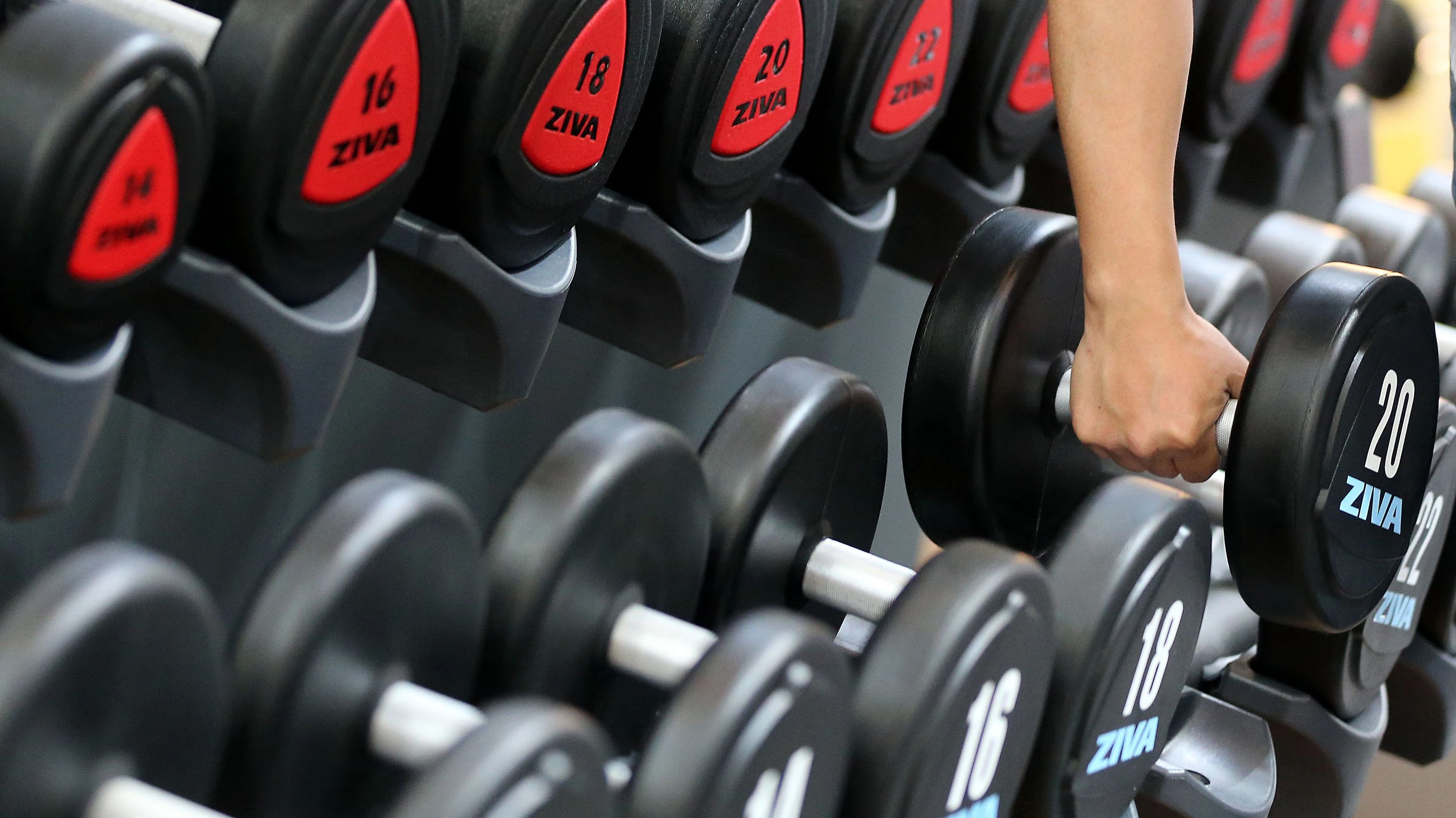 F.A.Z. Podcast Wissen: Wie viel Sport muss sein, um lange zu leben?