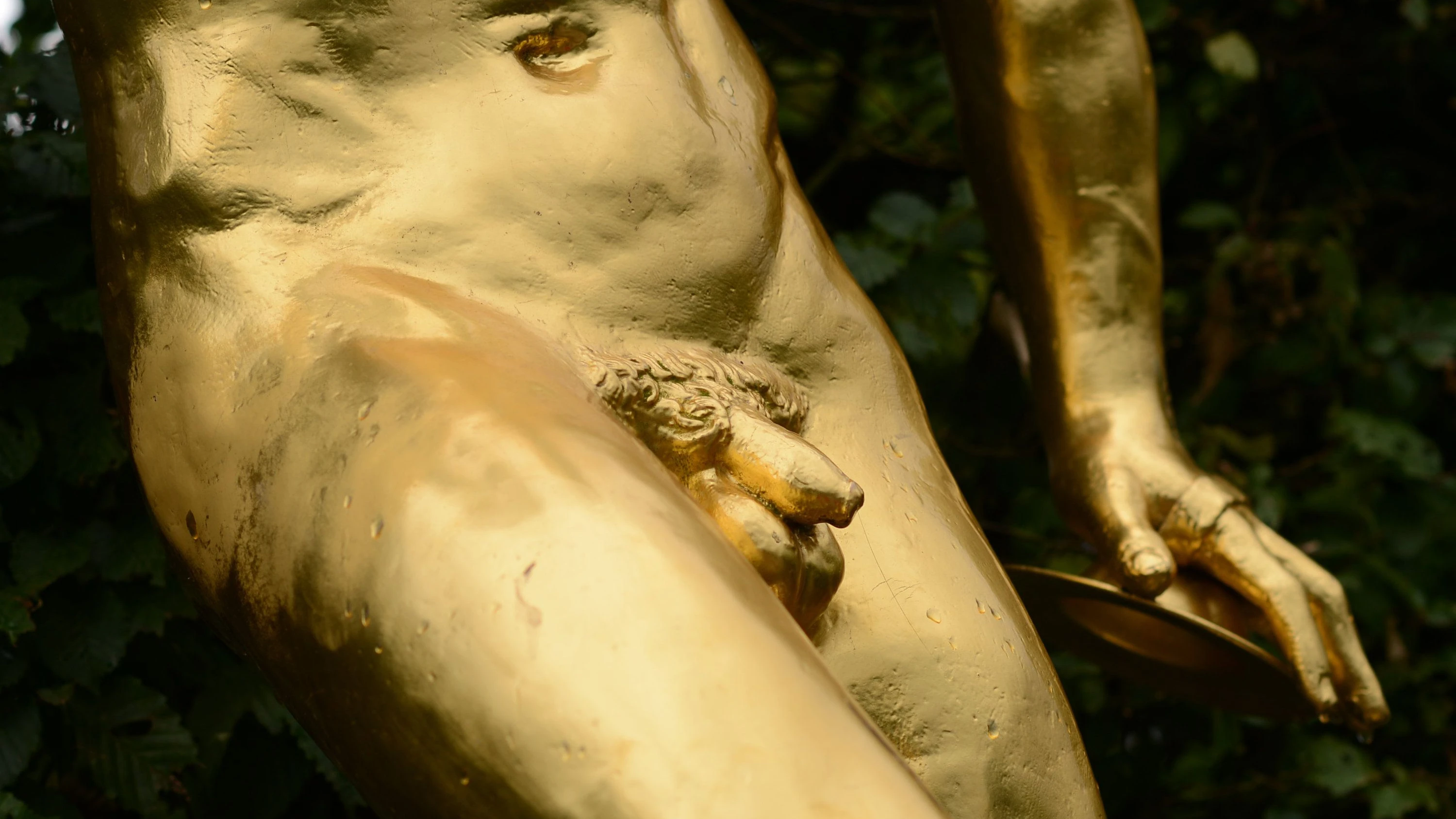 Penis-Bilder im Internet: Die Macht der Schwellkörper