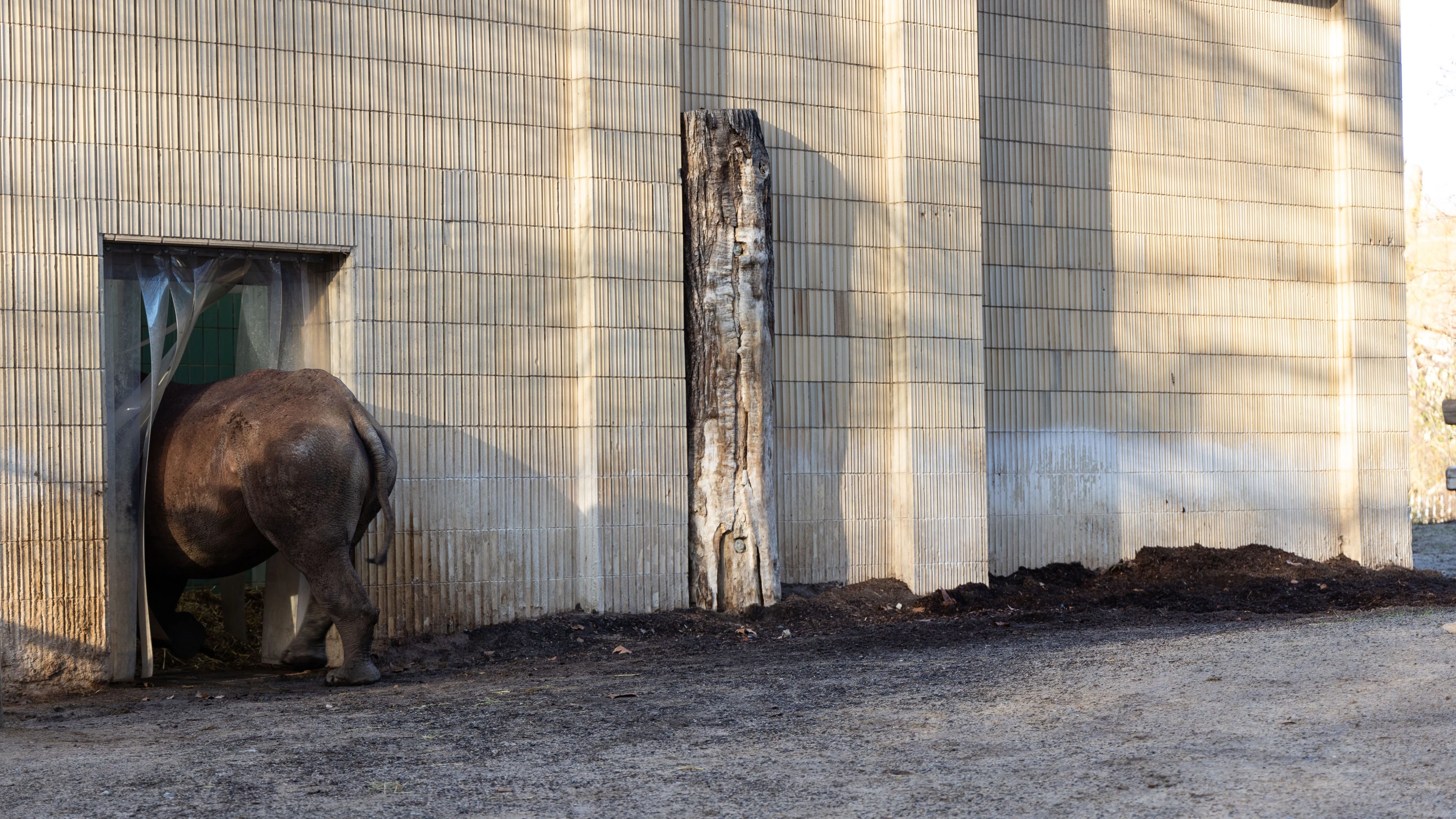 Zwang zur Modernisierung: Eine Zukunft für den Zoo