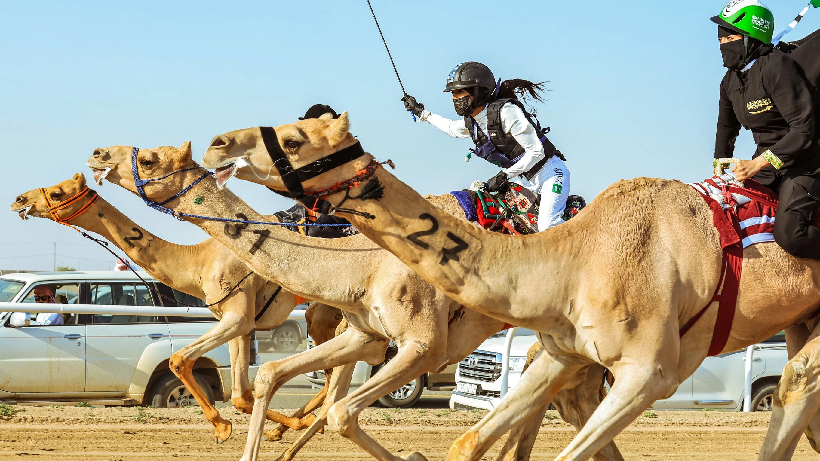 Schluss mit Biathlon und Co.?: Wüste statt Winter Schluss mit Biathlon und Co.?: Wüste statt Winter