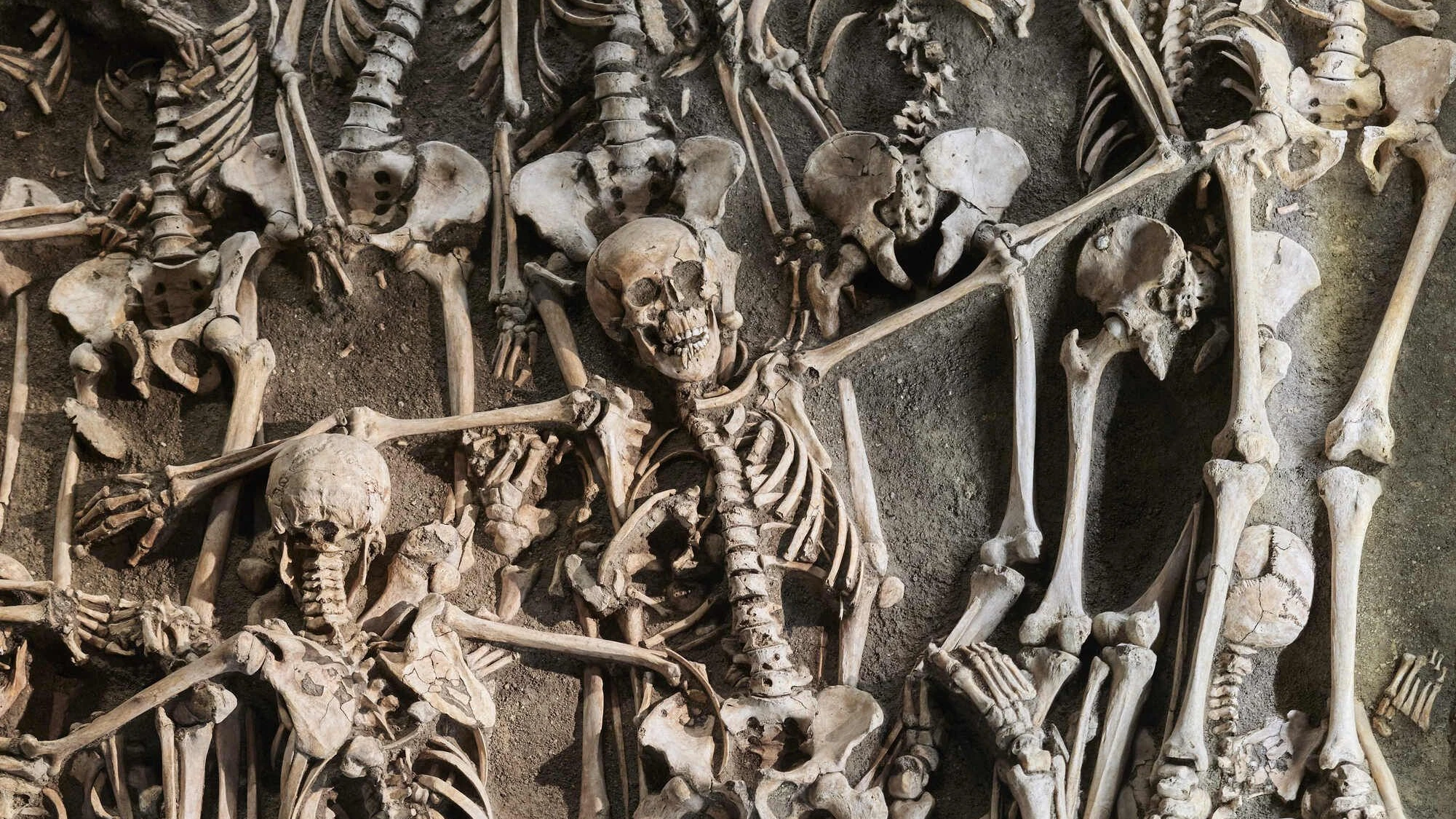 Interview mit Archäologen: „Wir sind nicht zum Krieg verdammt“