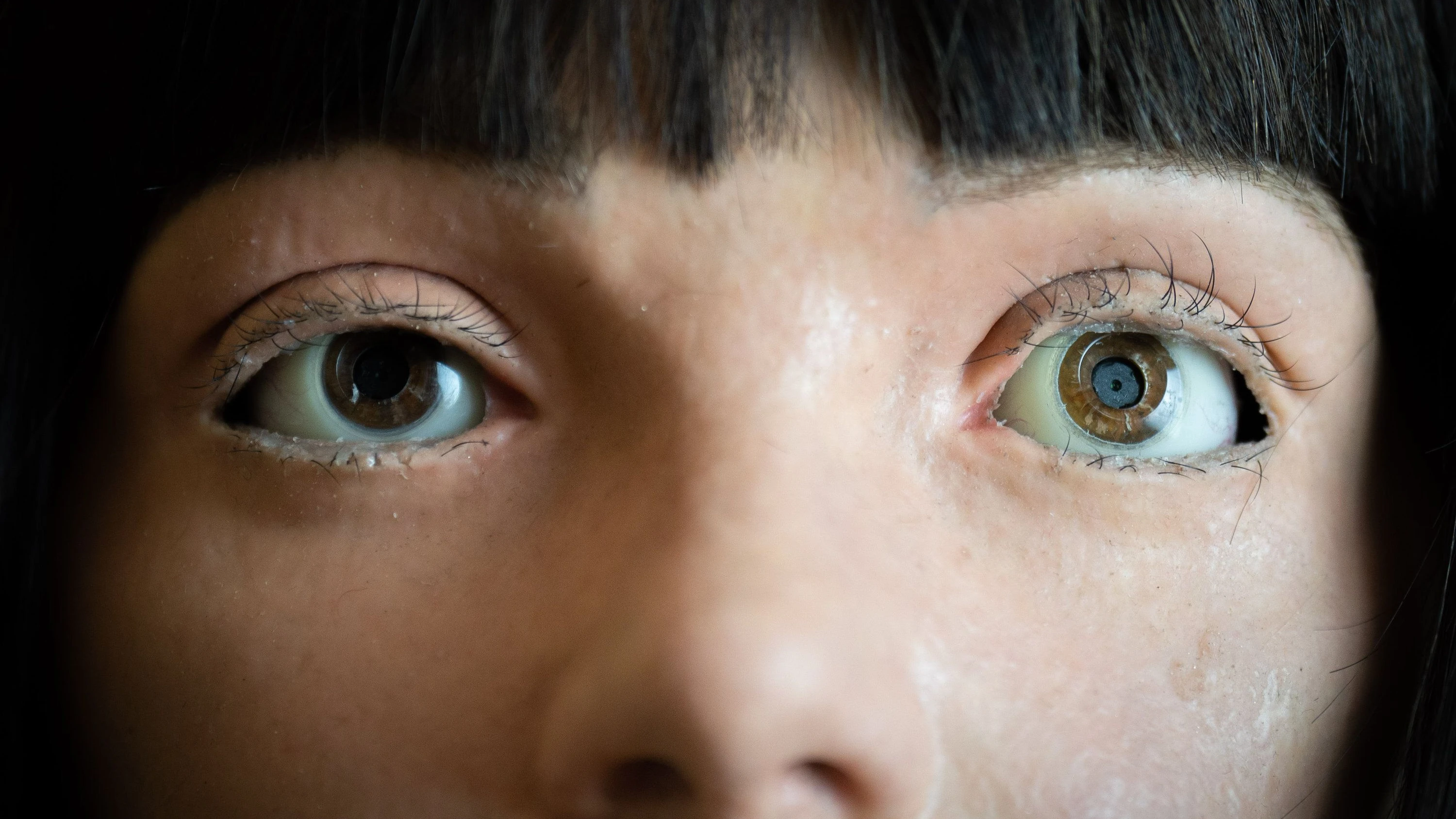 Umgang mit Chatbots: Wie die Moral in die Maschine kommt