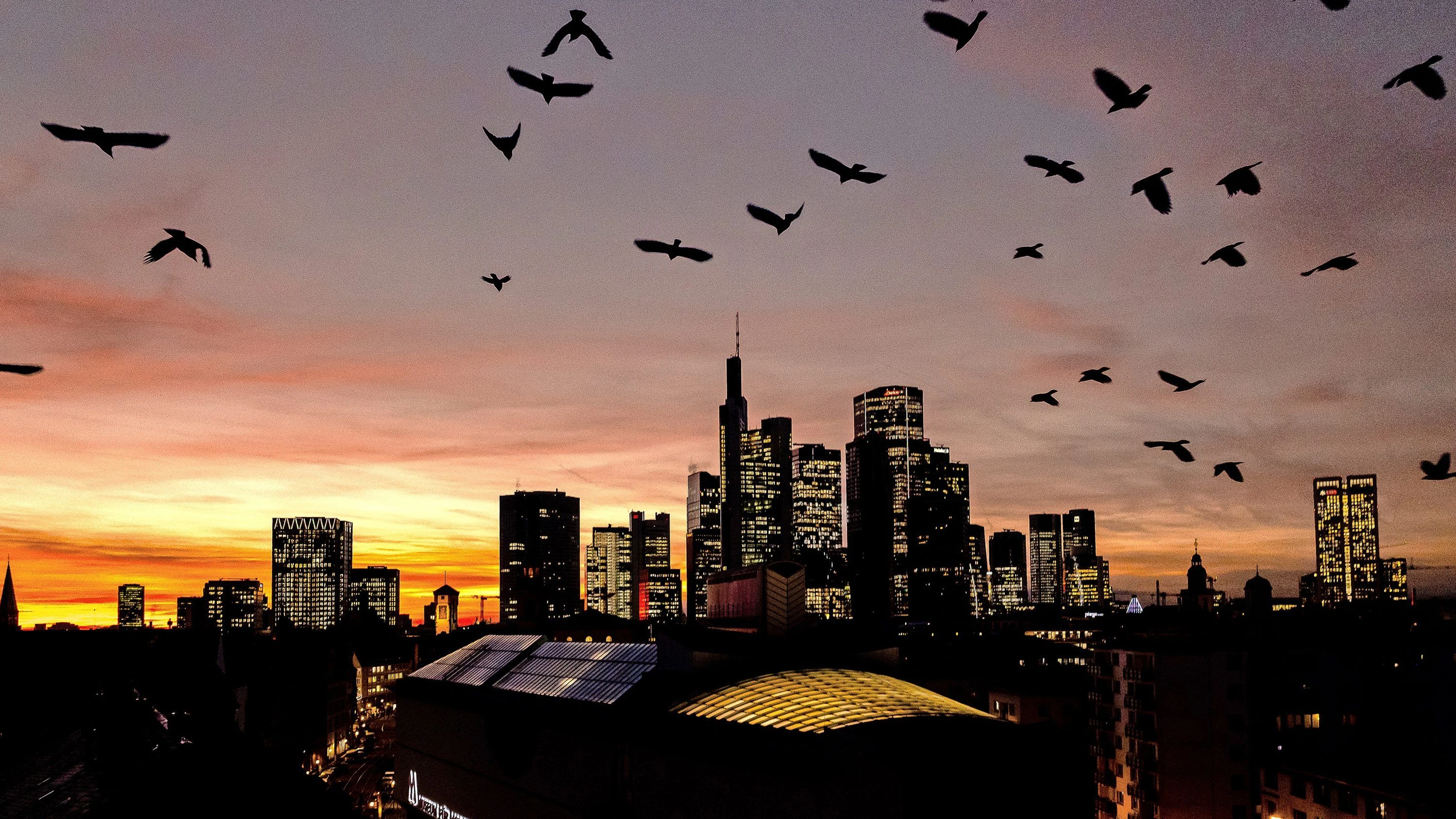 Kommunalwahl in Frankfurt: Reiche Stadt ohne Mittelschicht