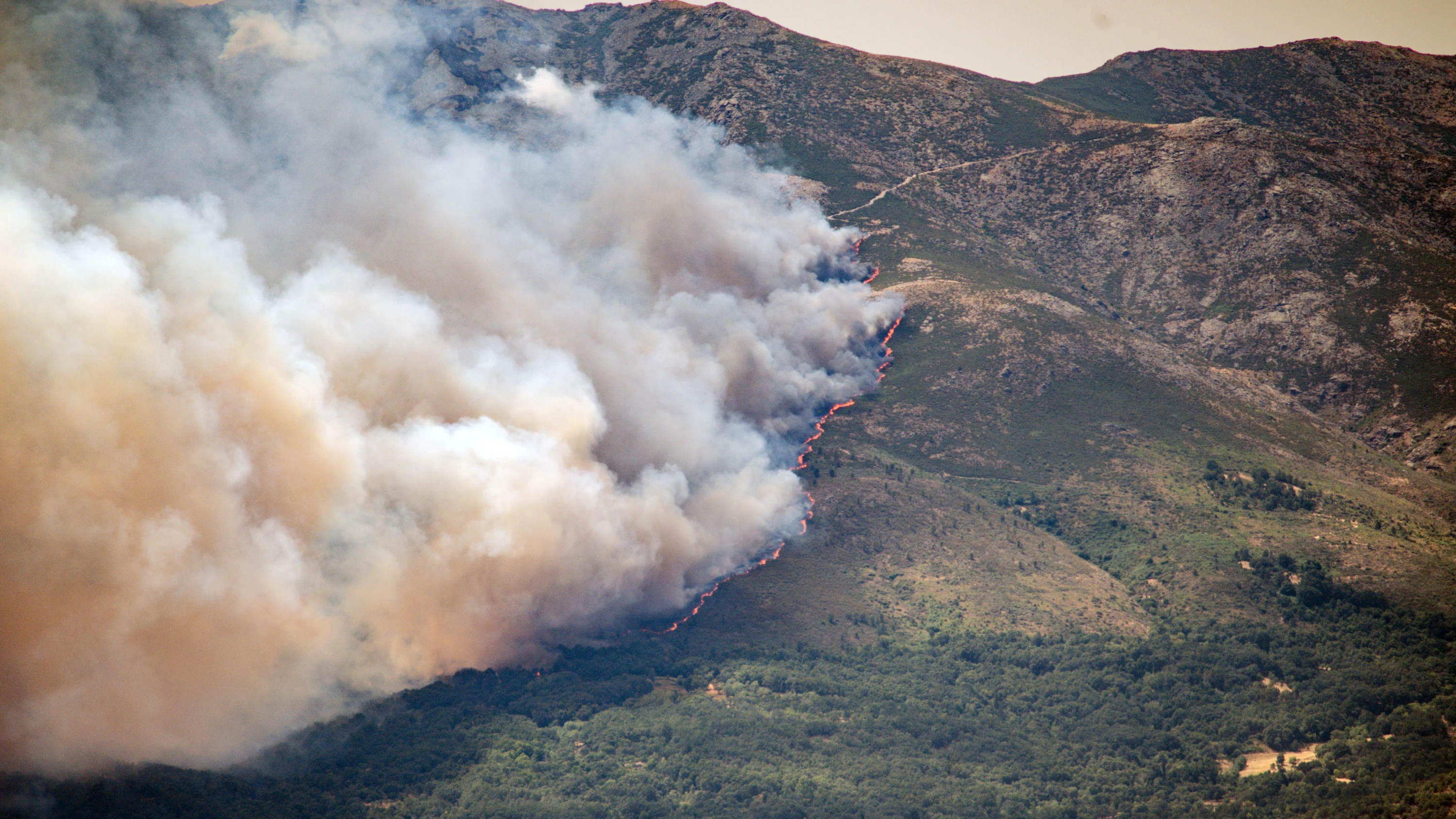 Naturkatastrophe: Waldbrände: Spanien ruft nationalen Notstand aus, Frankreich fordert EU-Hilfe an