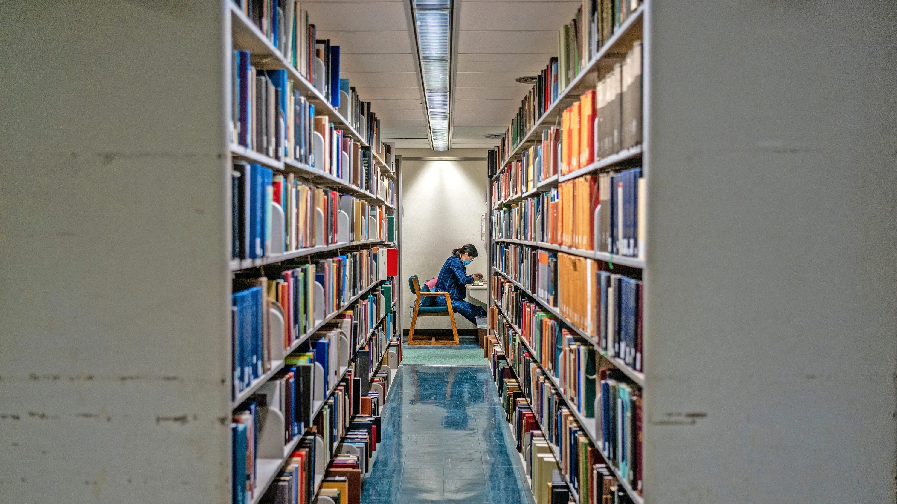 Amerikanische Zensur: „Schulen räumen aus Angst ganze Bibliotheken leer“