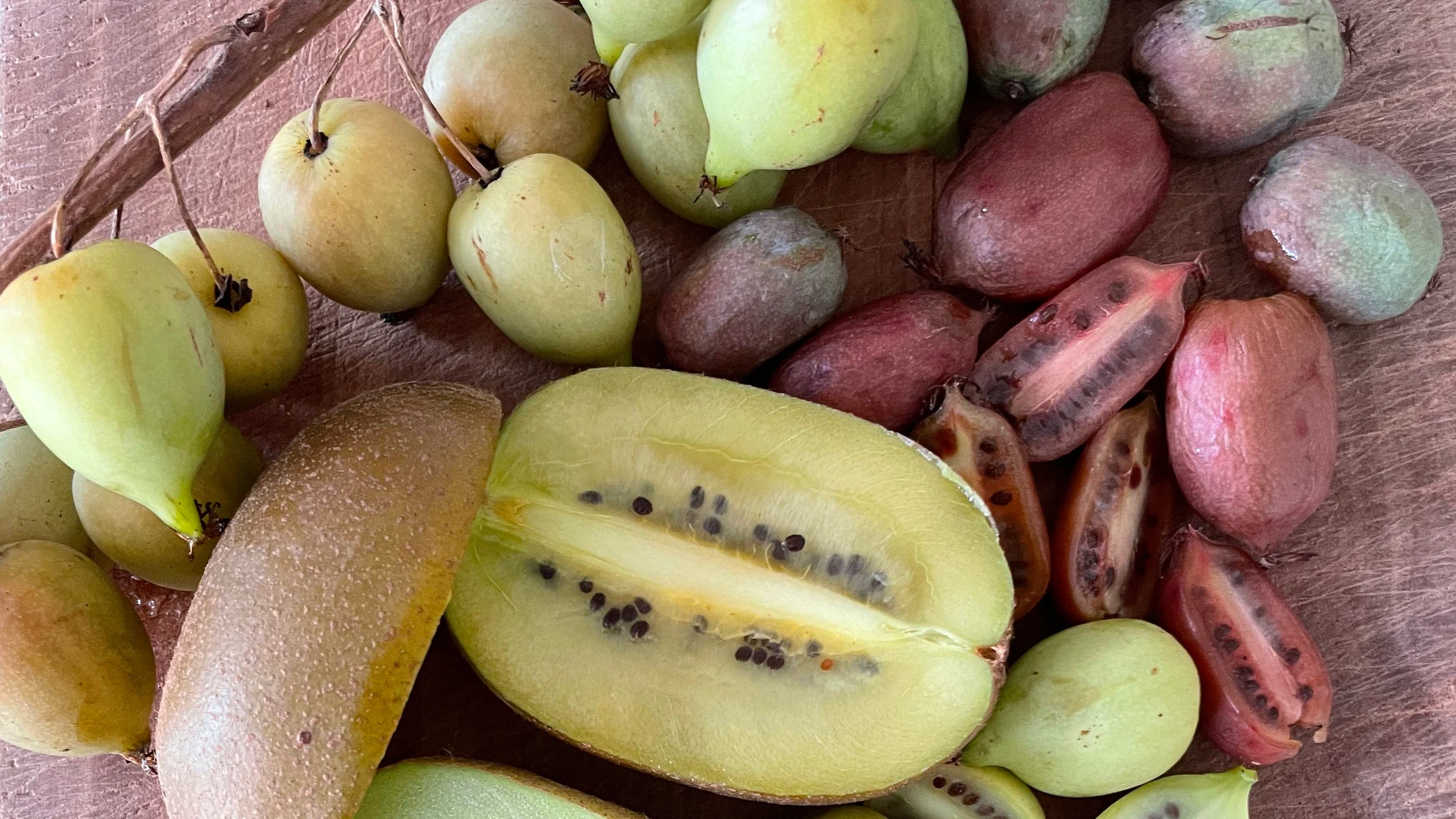 Kiwibeere: Vitamin C aus Chemnitz