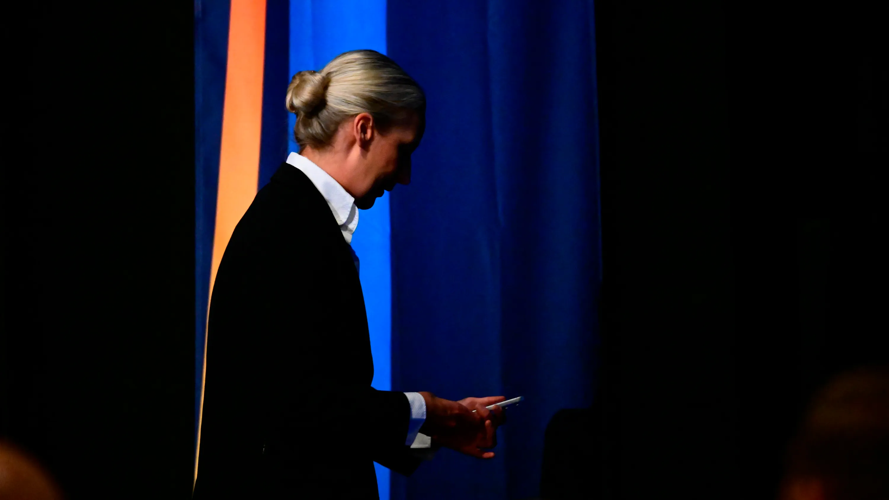 AfD gehackt: Diese Mails passen ins Bild