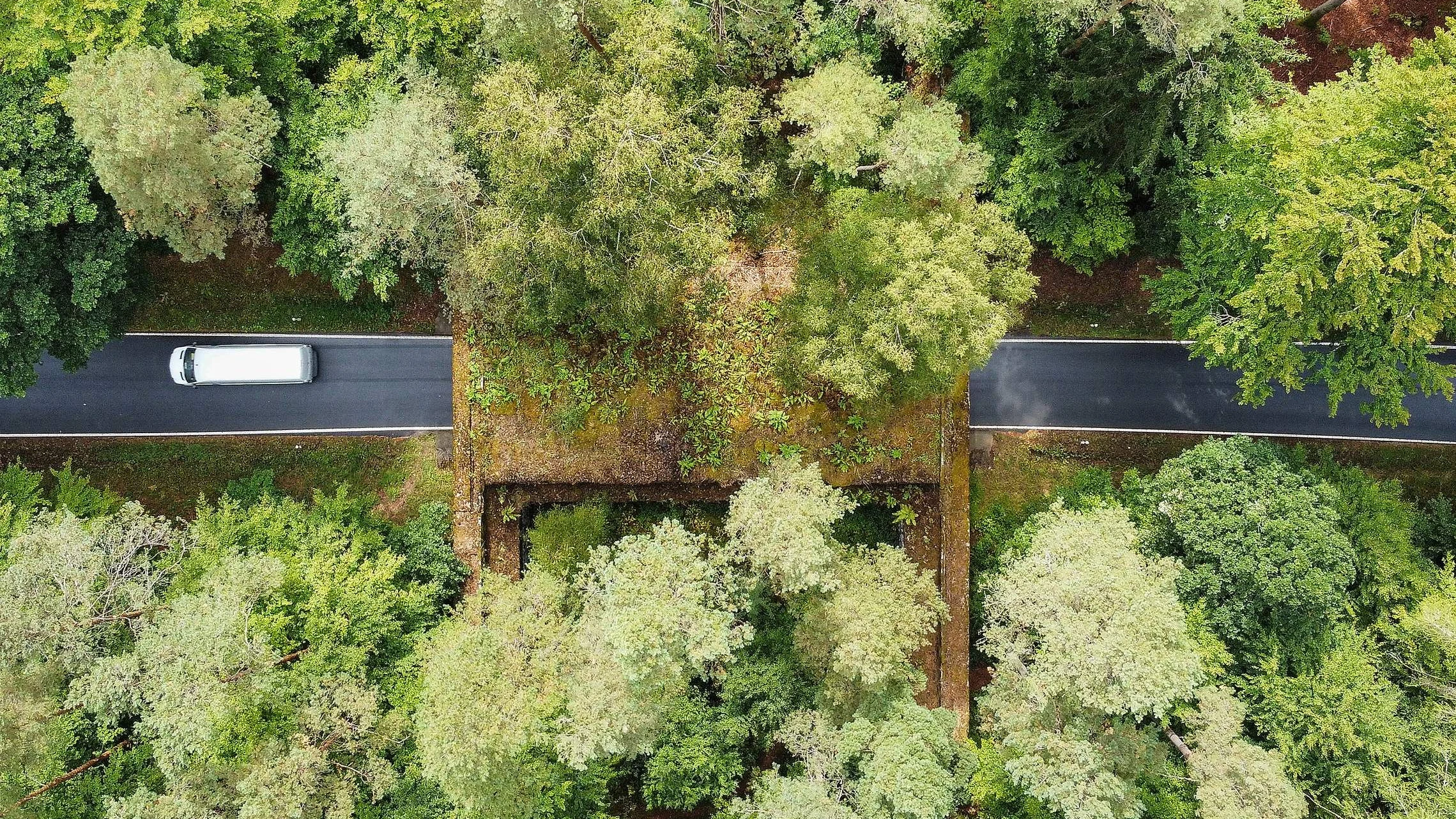 Deutschlands längste Bauruine: Die vergessene Nazi-Autobahn