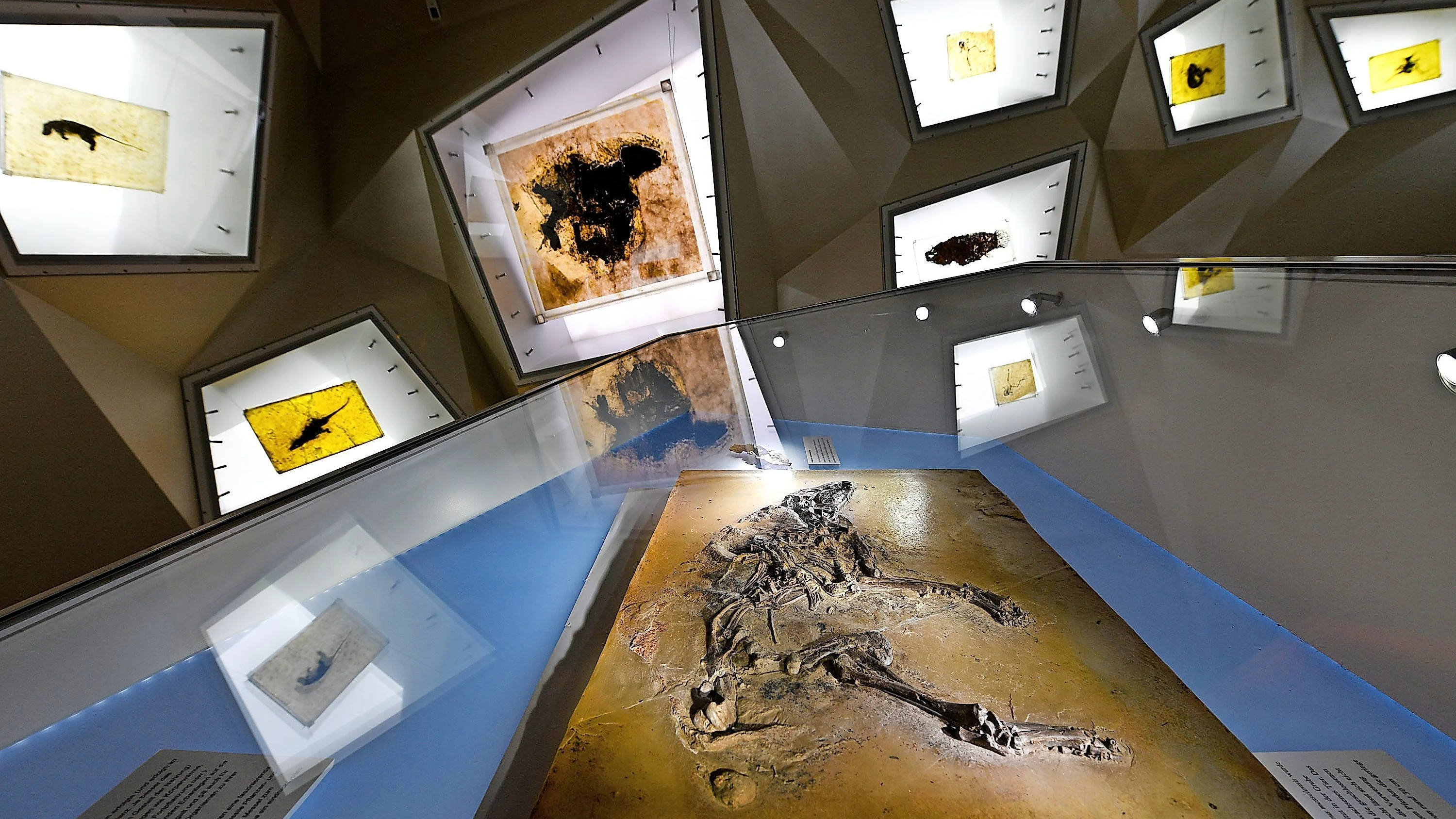 Wandertipp: Vor 47 Millionen Jahren angehalten