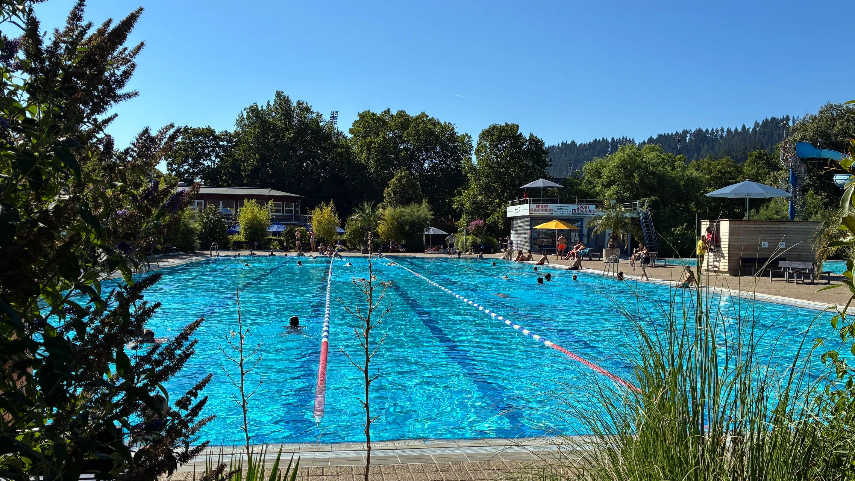 Es gelten ungeschriebene Regeln: „Strandbad“ in Freiburg; in der Mitte die „Sportbahn“. - Philipp Schulte