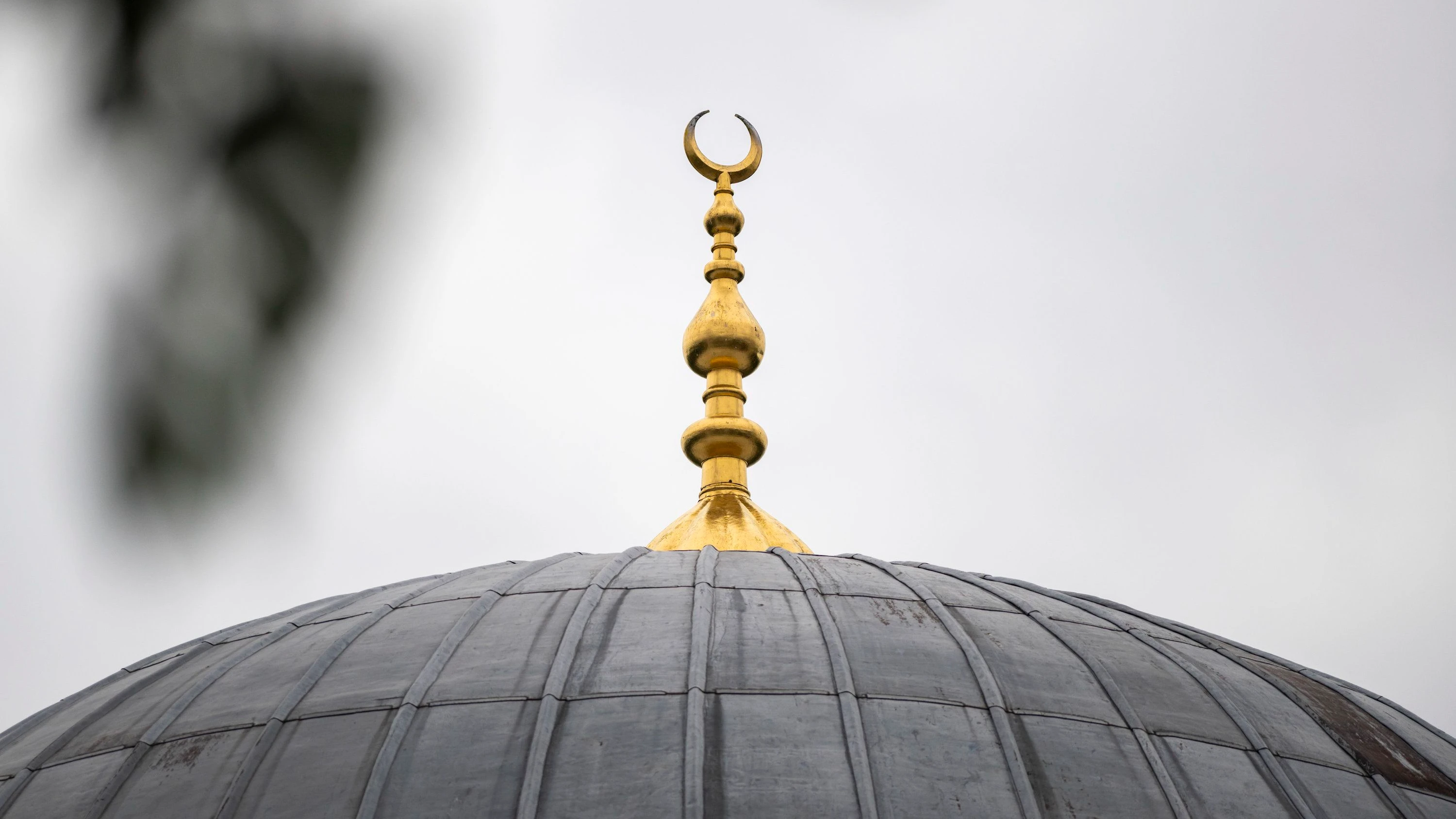 Landgericht Hamburg: Journalist darf NGO „unsaubere“ Zahlen zu Muslimfeindlichkeit vorwerfen