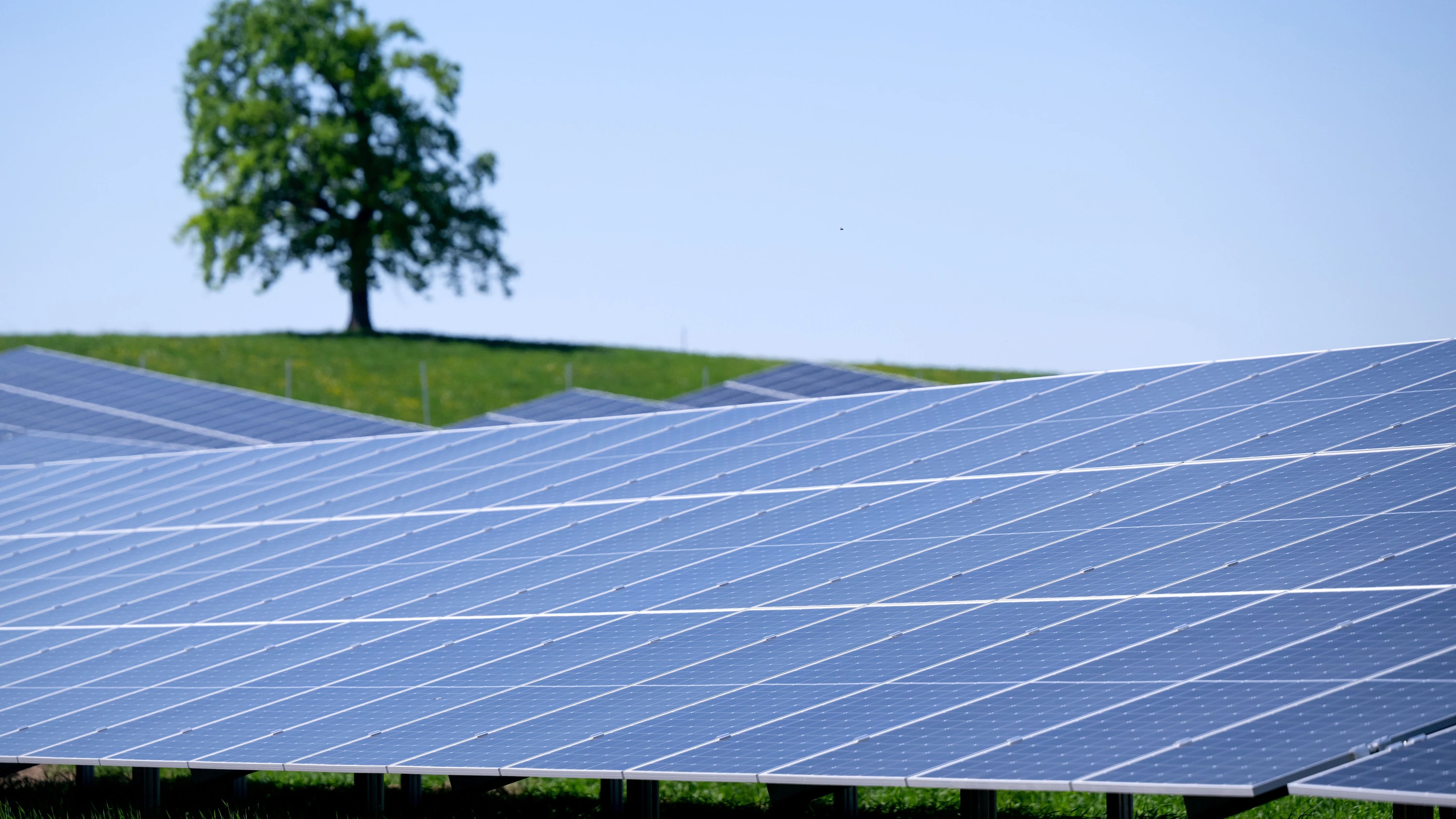 Energiewende: Wohin mit all dem grünen Strom? Energiewende: Wohin mit all dem grünen Strom?