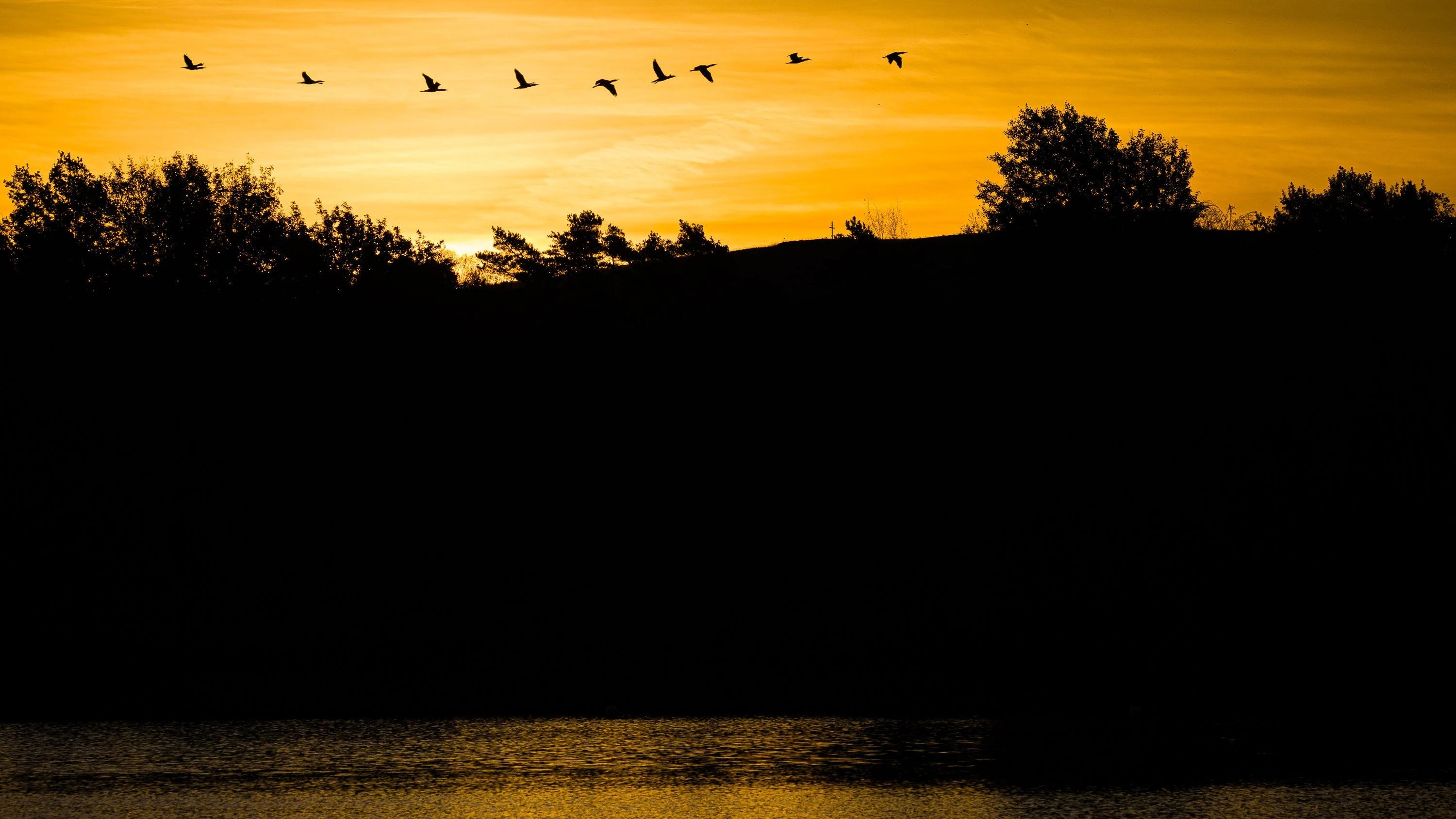 Trübsinn am Jahresende: Wie Sie der Winterdepression entkommen