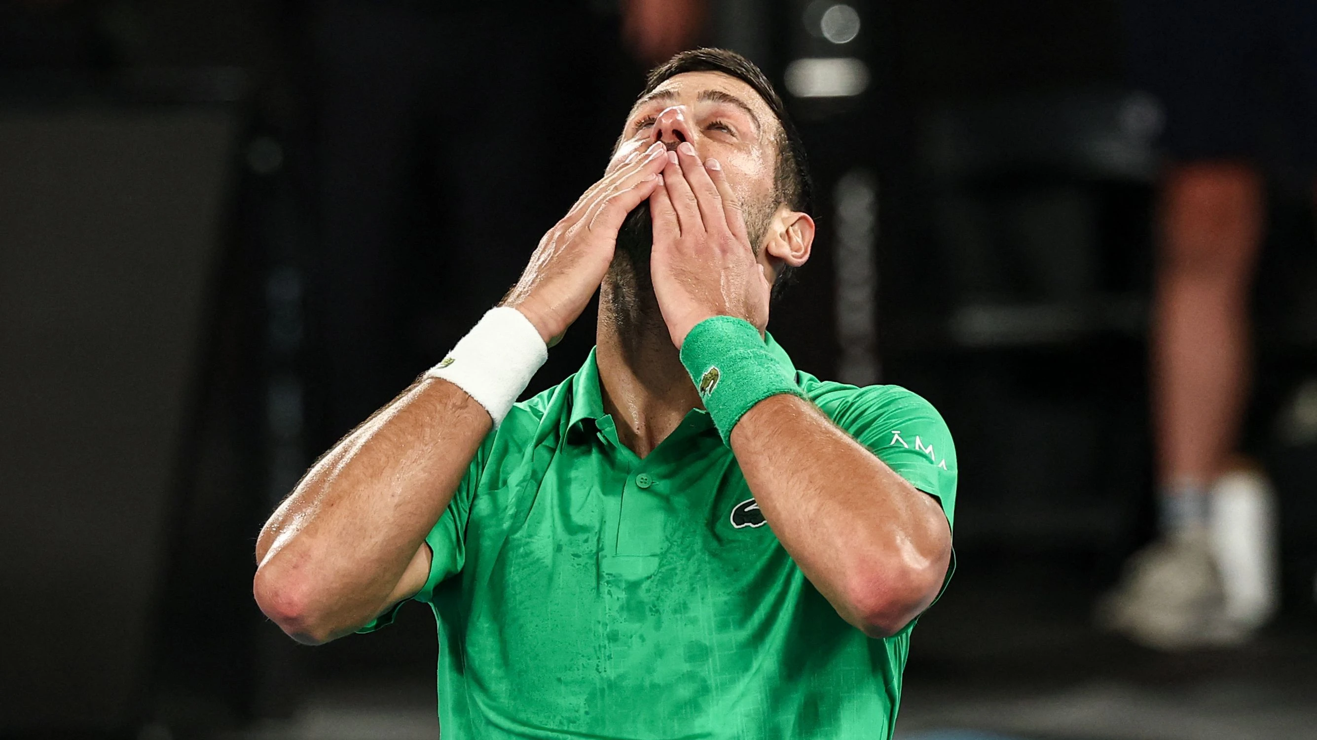 Im Finale gegen Alcaraz: Djokovic entthront Sinner