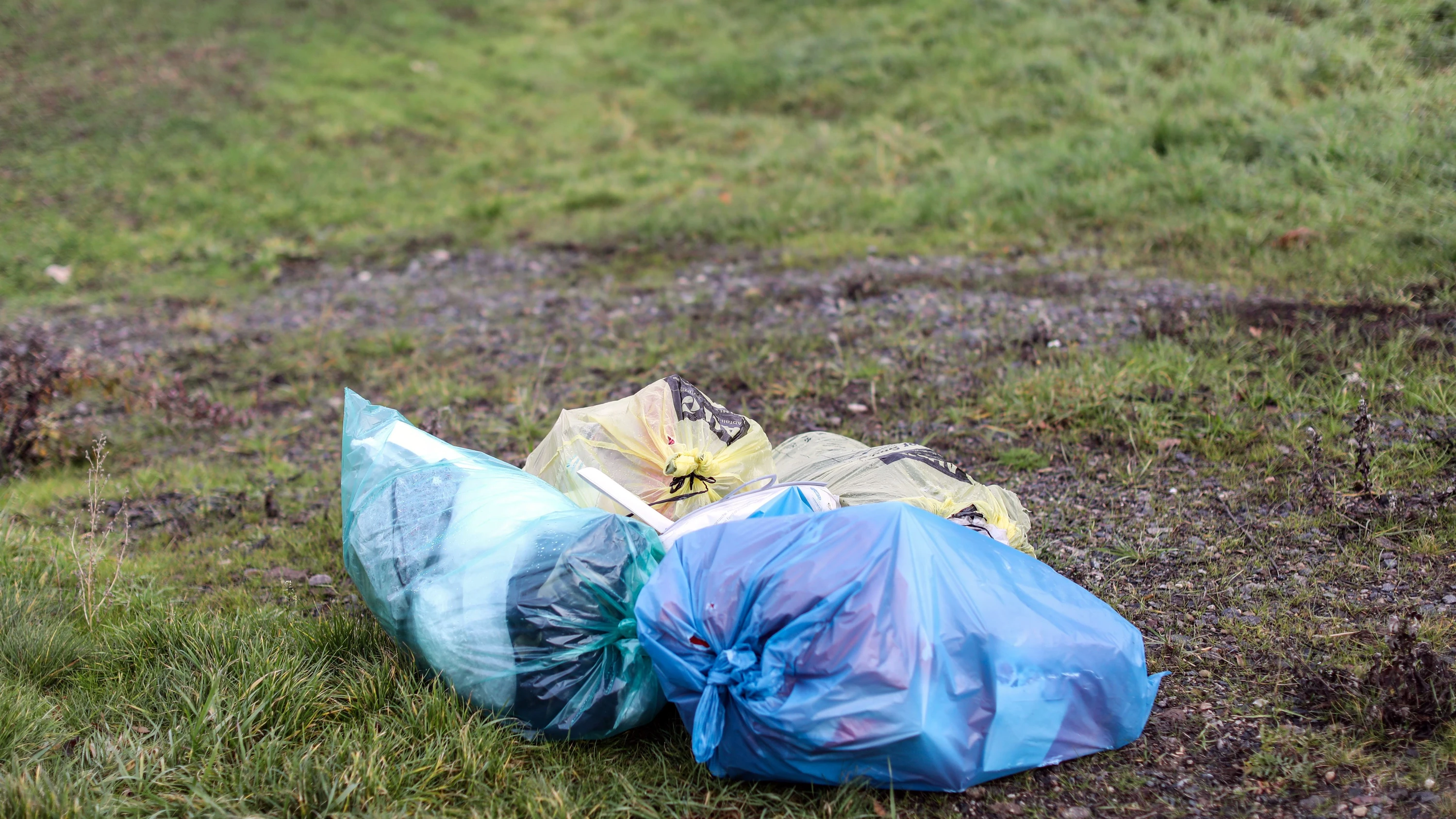 Rhein-Main-Liveblog: Weniger illegal abgekippter Müll an Hessens Straßen