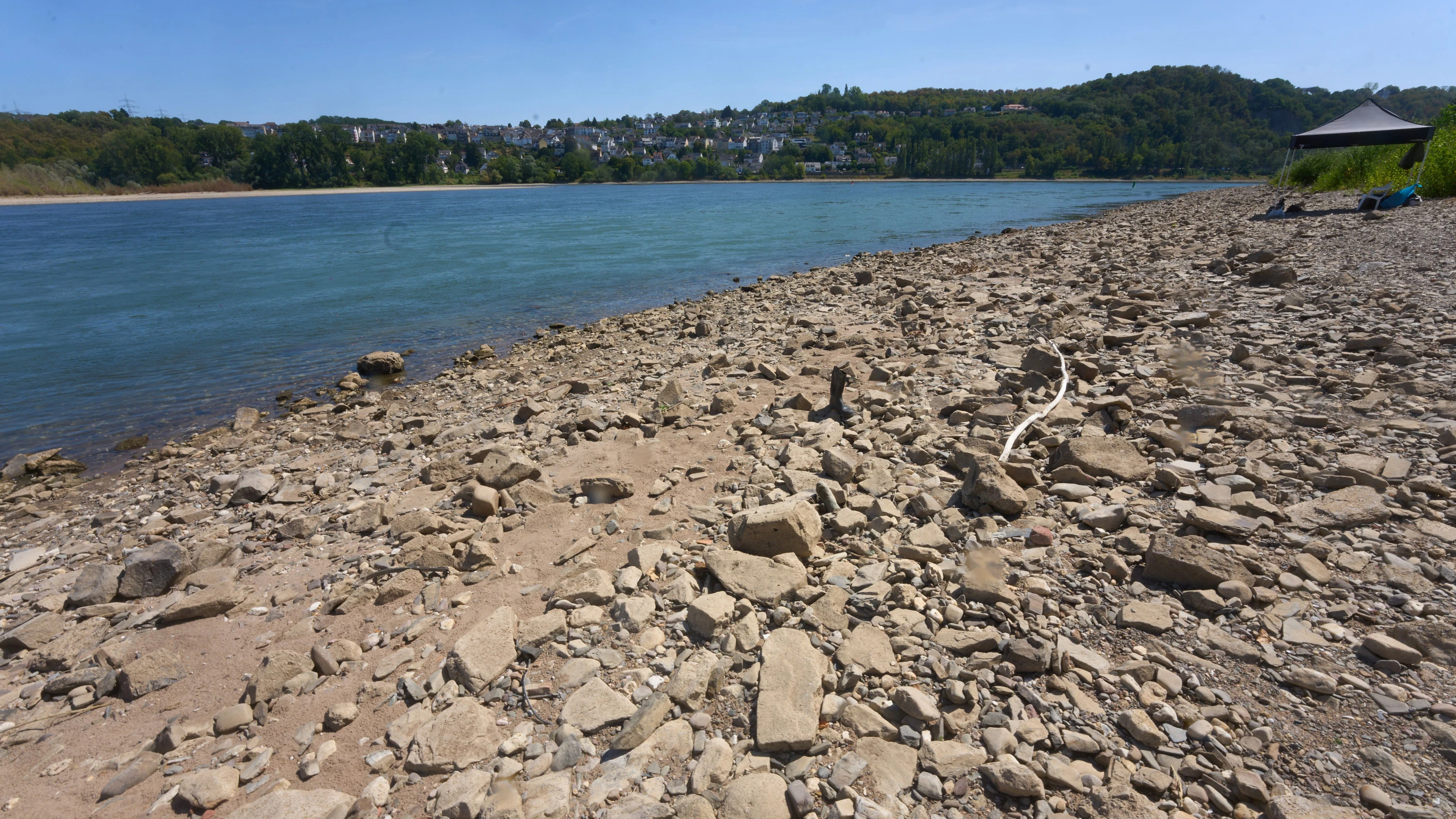 Von Niedrigwasser freigelegt: Blindgänger im Rhein: Nichts bewegen oder berühren