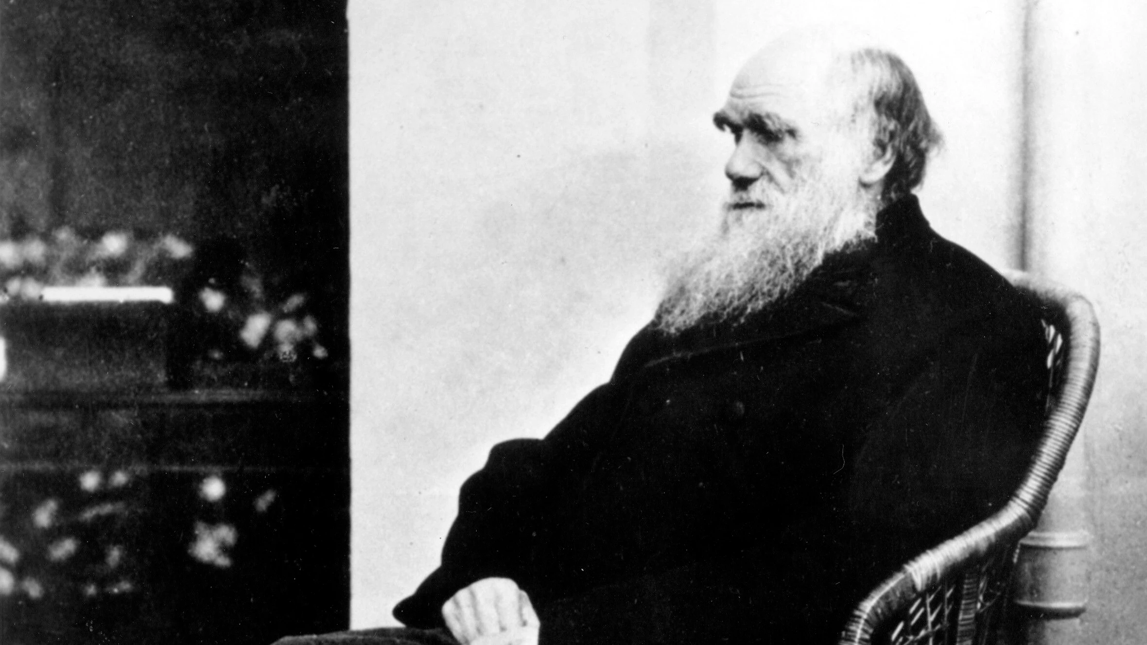 Testament eines Forschers: Vererben wie Charles Darwin Testament eines Forschers: Vererben wie Charles Darwin