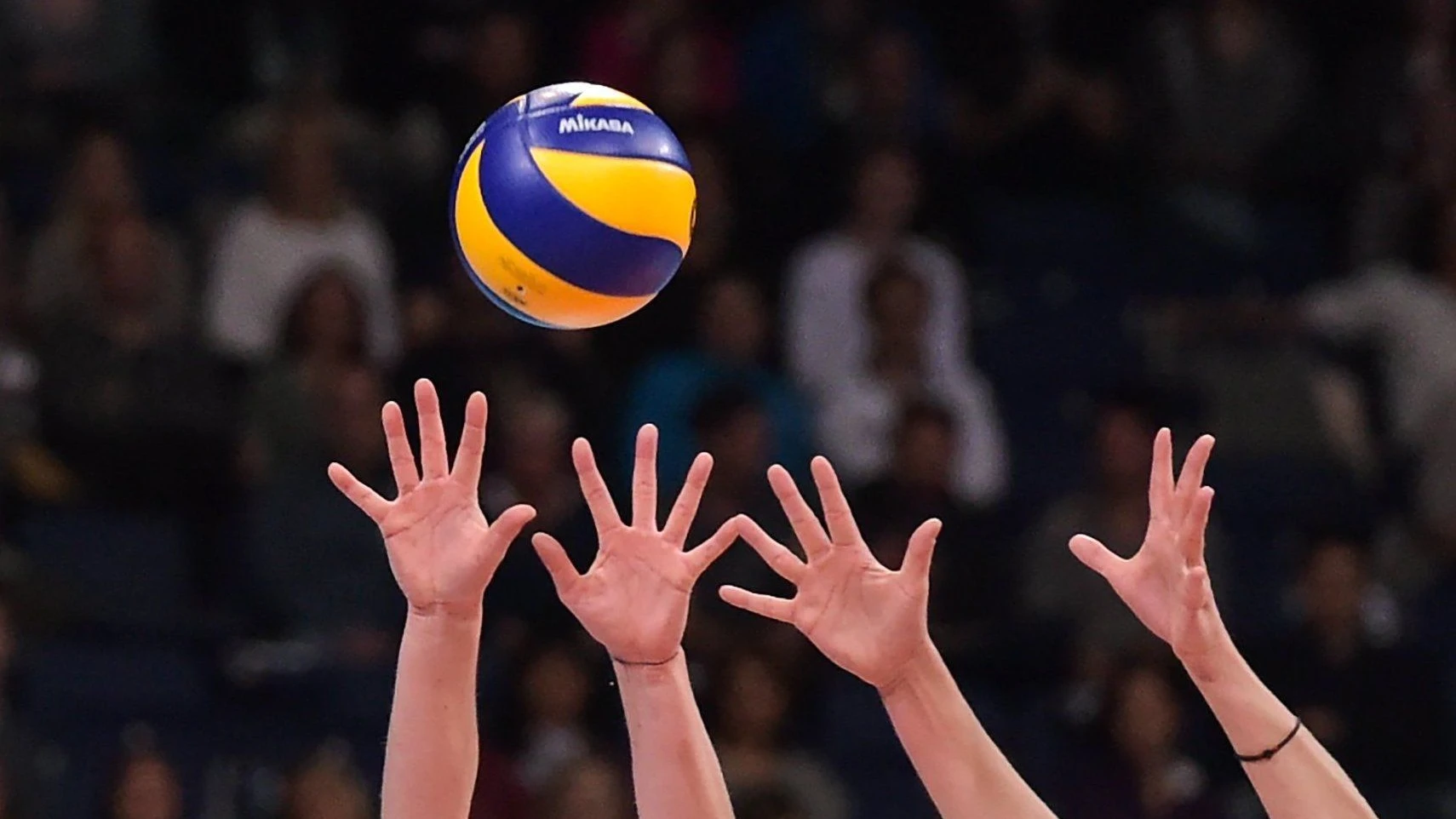 Aus in den Play-offs: Das Ende einer „Hauruck-Saison“ für den VC Wiesbaden