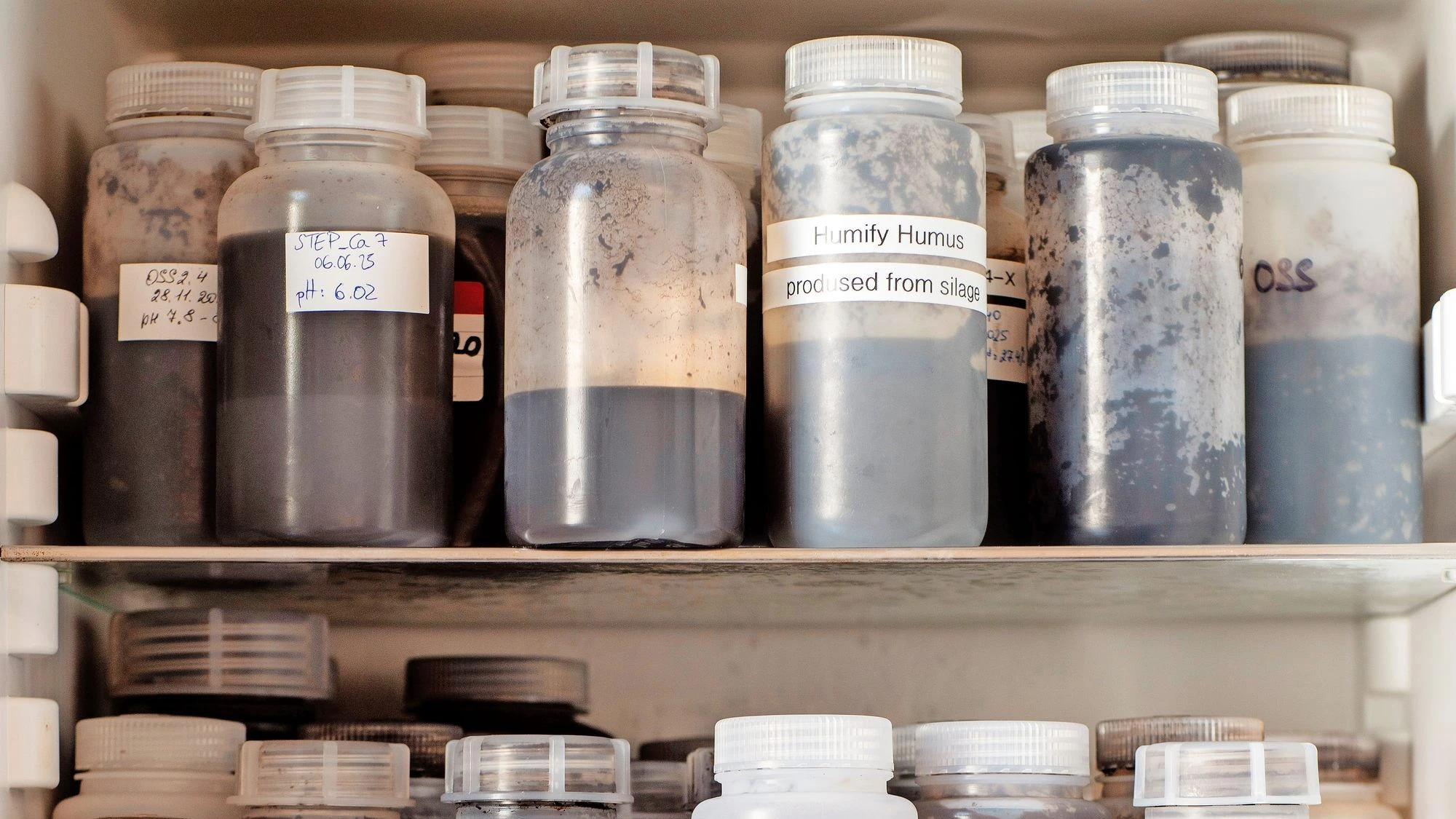 Deutsches Start-up Humify: Zu schön, um schnell zu gehen Deutsches Start-up Humify: Zu schön, um schnell zu gehen