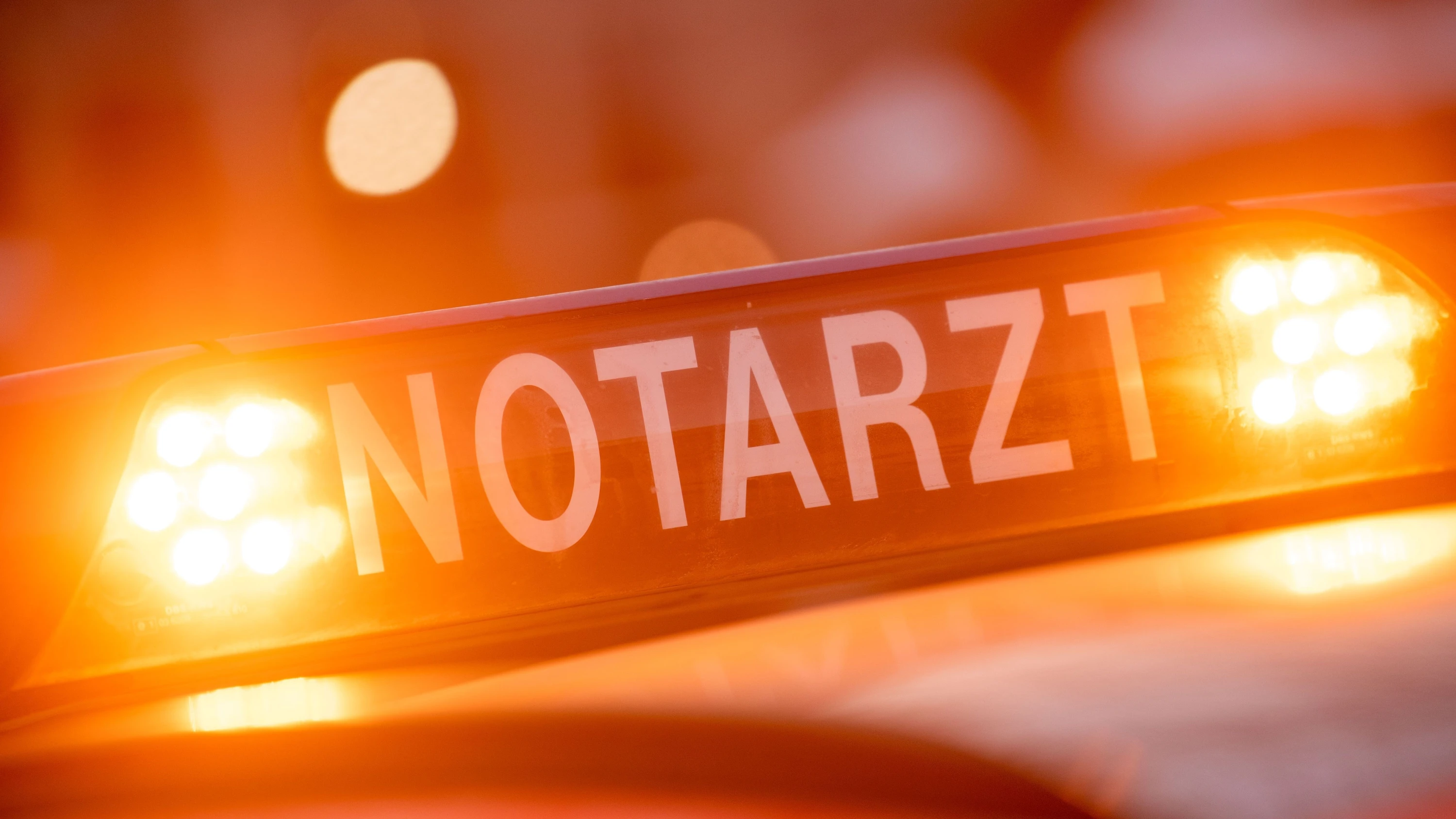 Oberbayern: Kind bei Forstarbeiten von Baum erschlagen