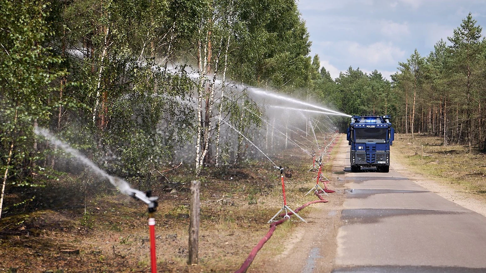 Munitionsbelastetes Gelände: Waldbrand im Müritz-Nationalpark ist gelöscht Munitionsbelastetes Gelände: Waldbrand im Müritz-Nationalpark ist gelöscht