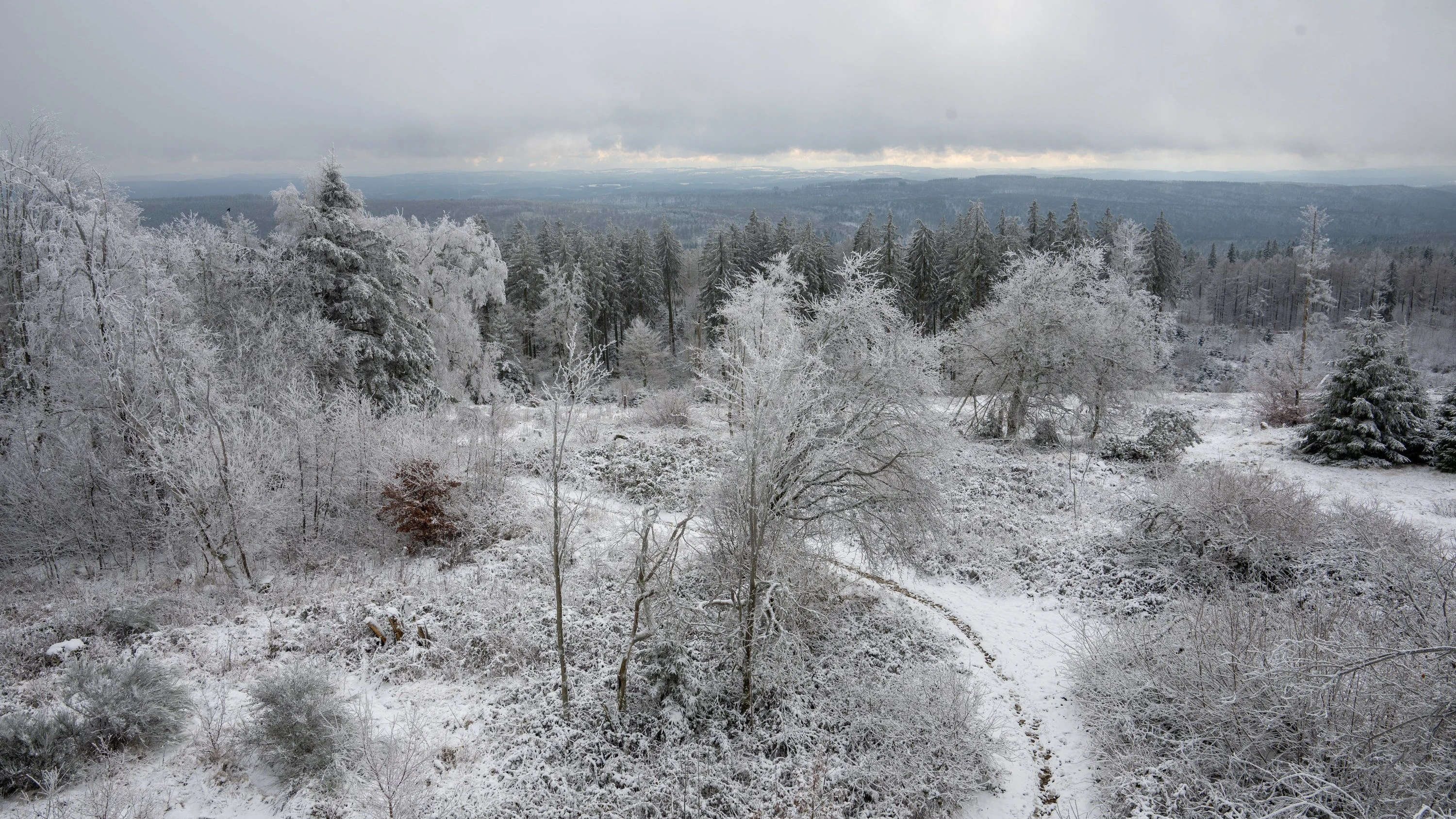Frost und Eisregen: Wetterdienst warnt vor glatten Straßen