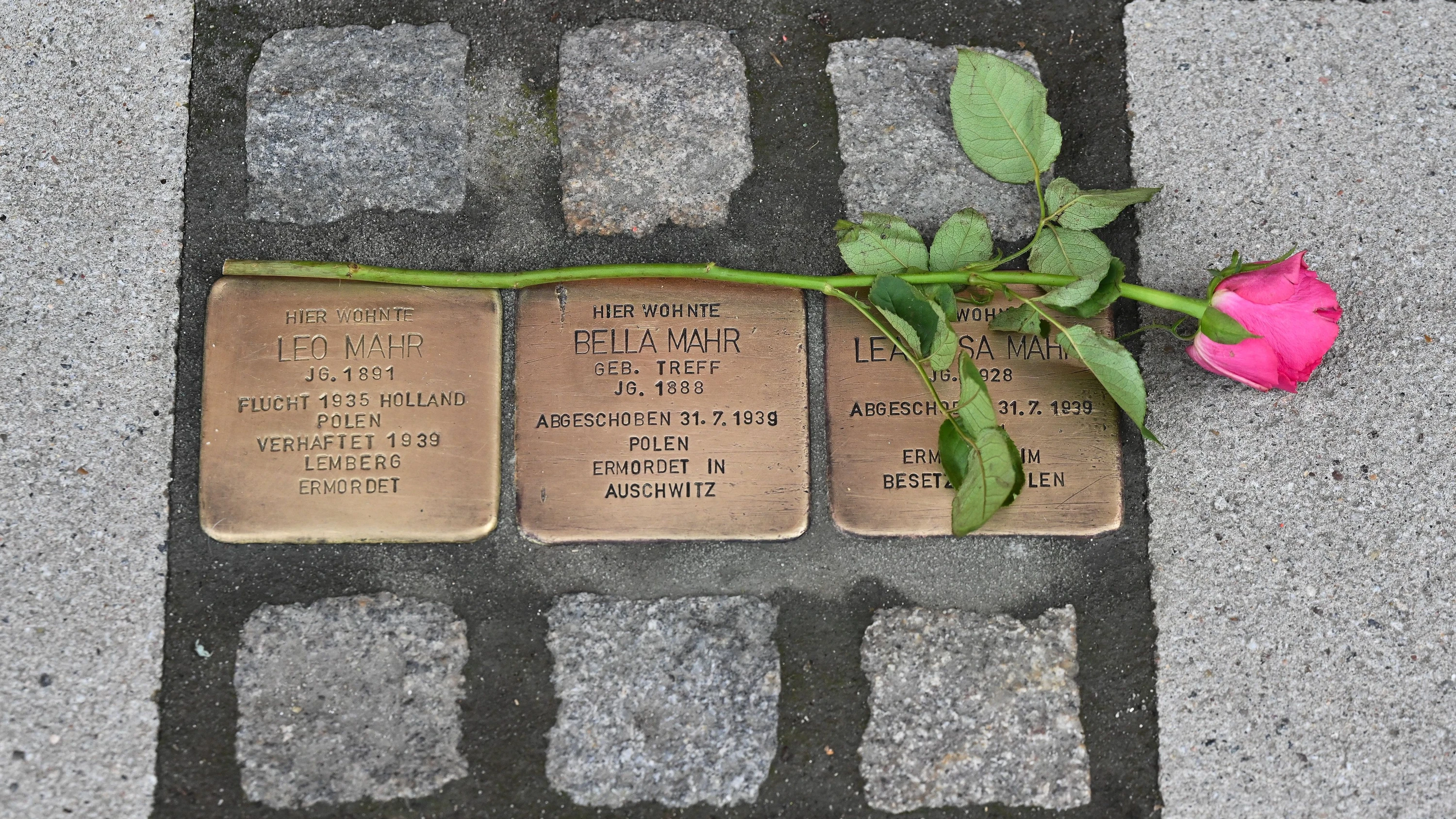 Stolpersteine, hier in Kassel, erinnern mit eingravierten Namen an Opfer des Nationalsozialismus. - dpa