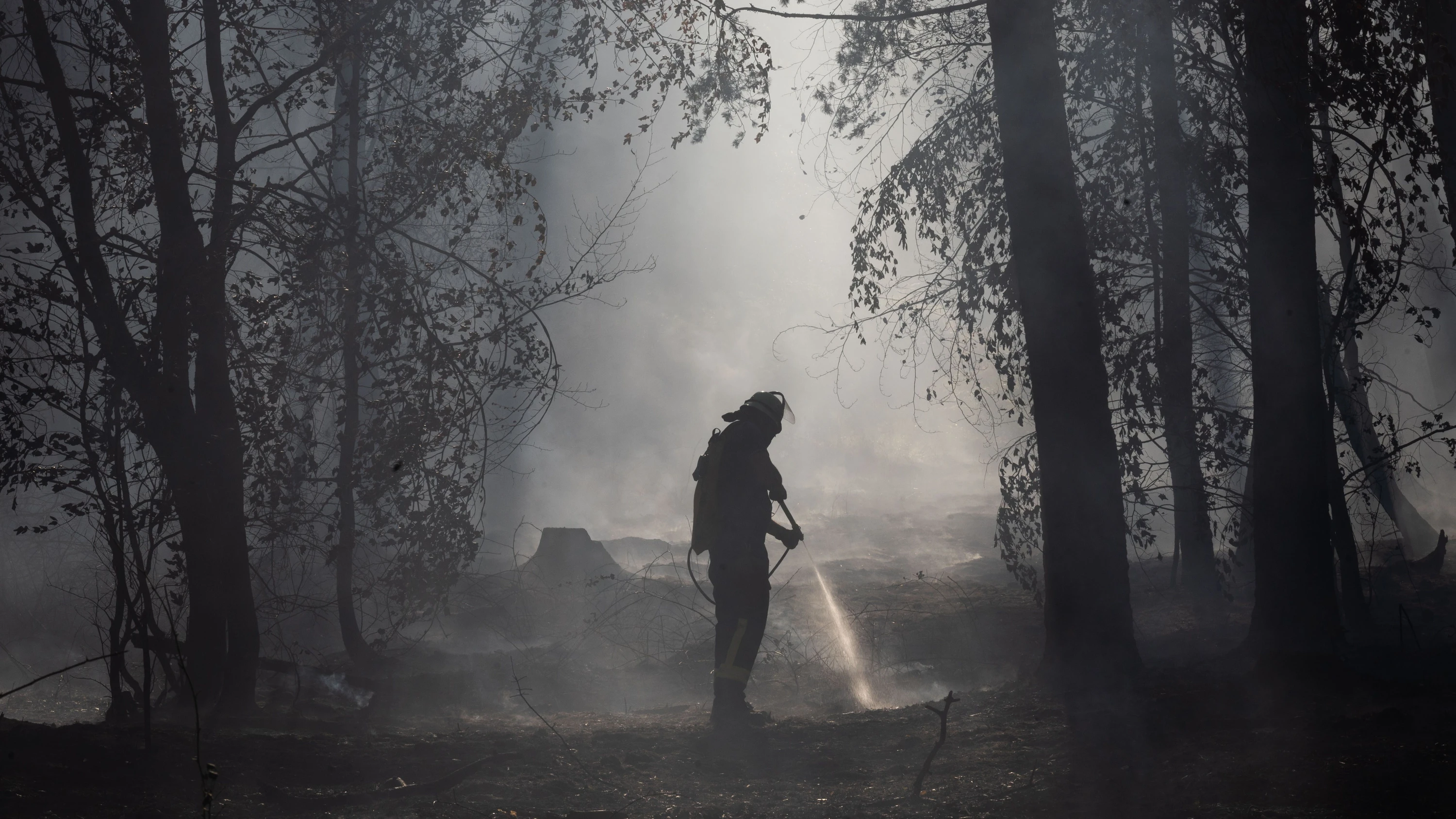 Suche nach Glutnestern: Ein Feuerwehrmann im Wald zwischen Ober- und Niederrodenbach, nachdem das Feuer gewütet hat. - Lucas Bäuml